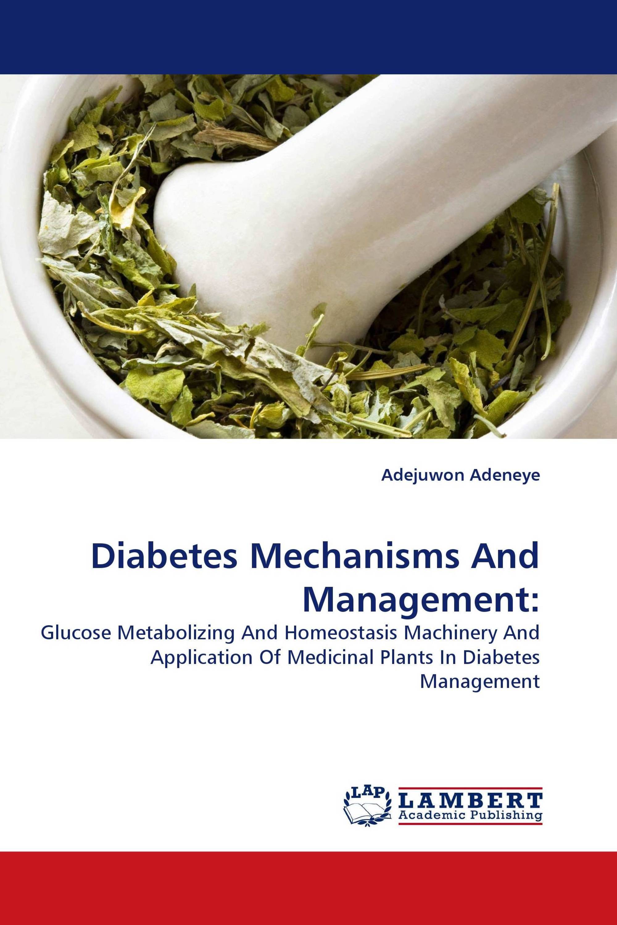 Diabetes Mechanisms And Management: