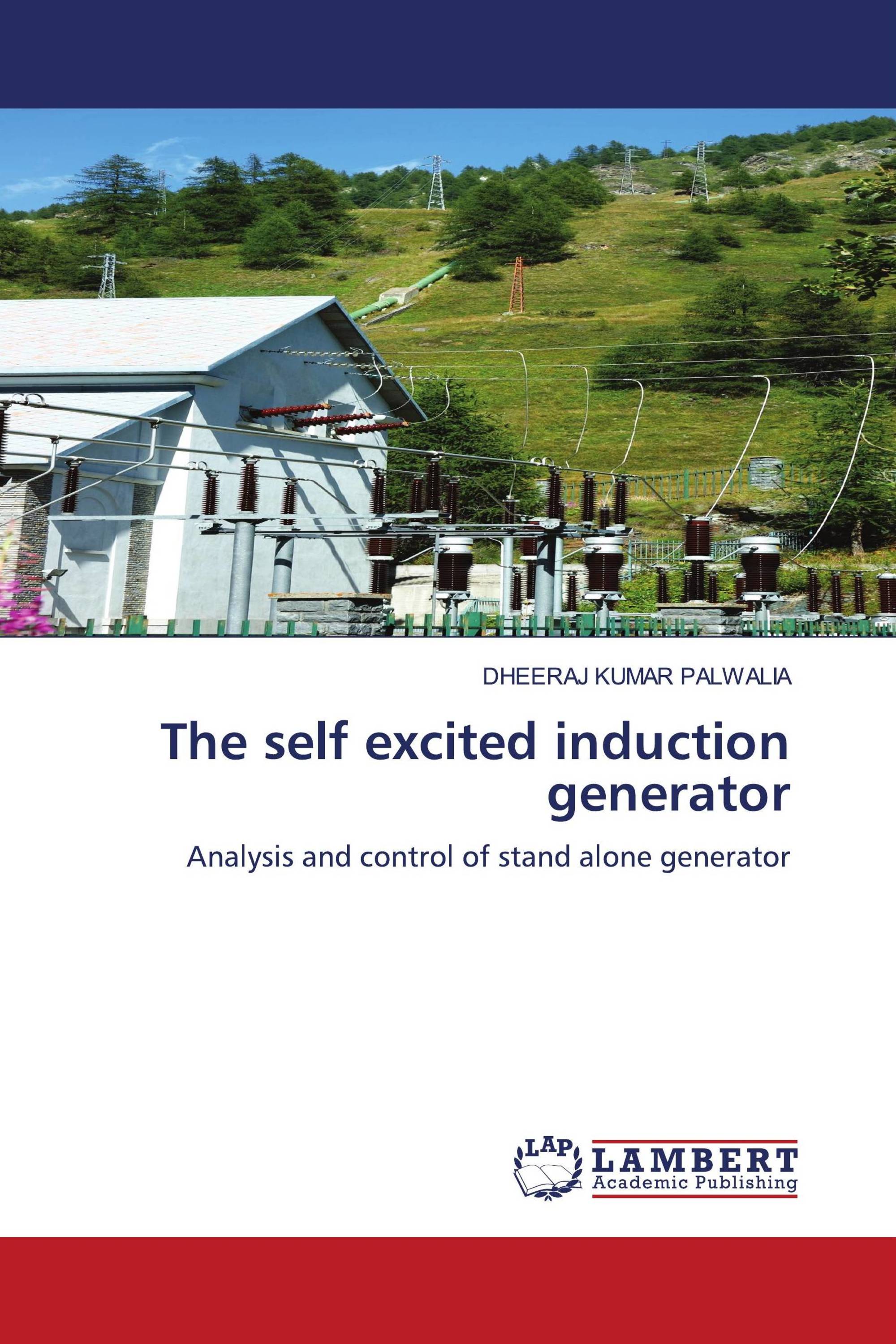 The self excited induction generator