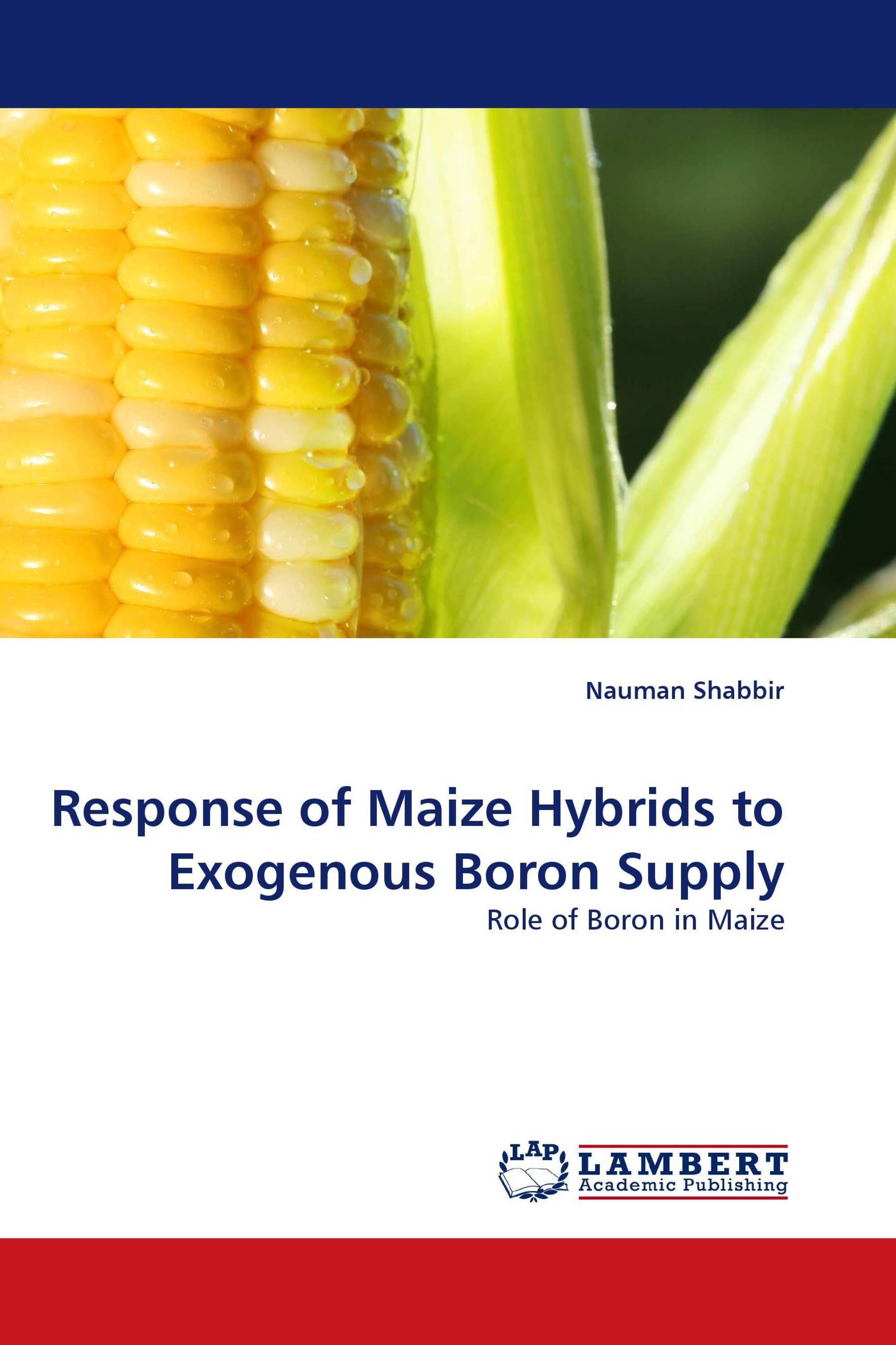 Response of Maize Hybrids to Exogenous Boron Supply