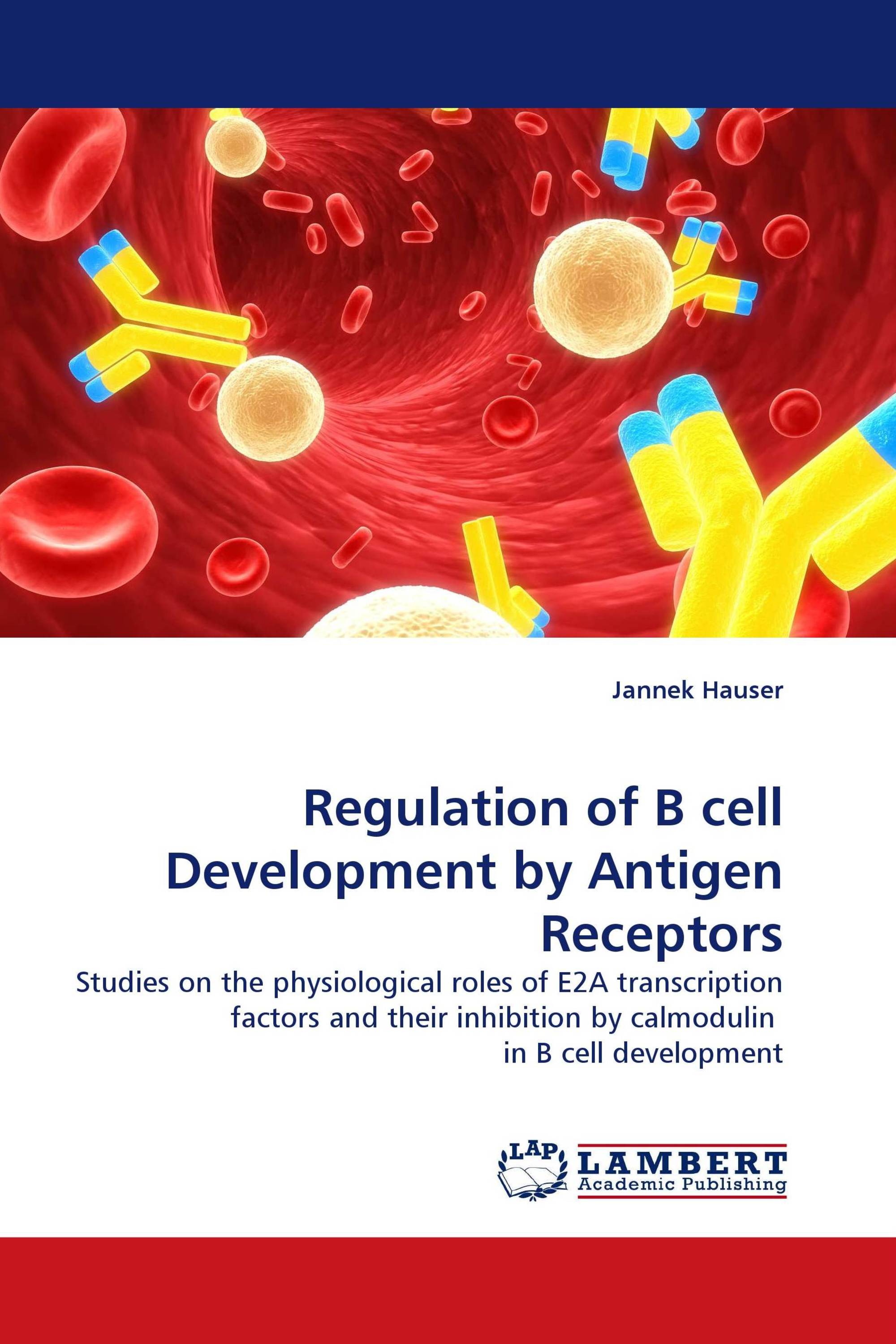 Regulation of B cell Development by Antigen Receptors