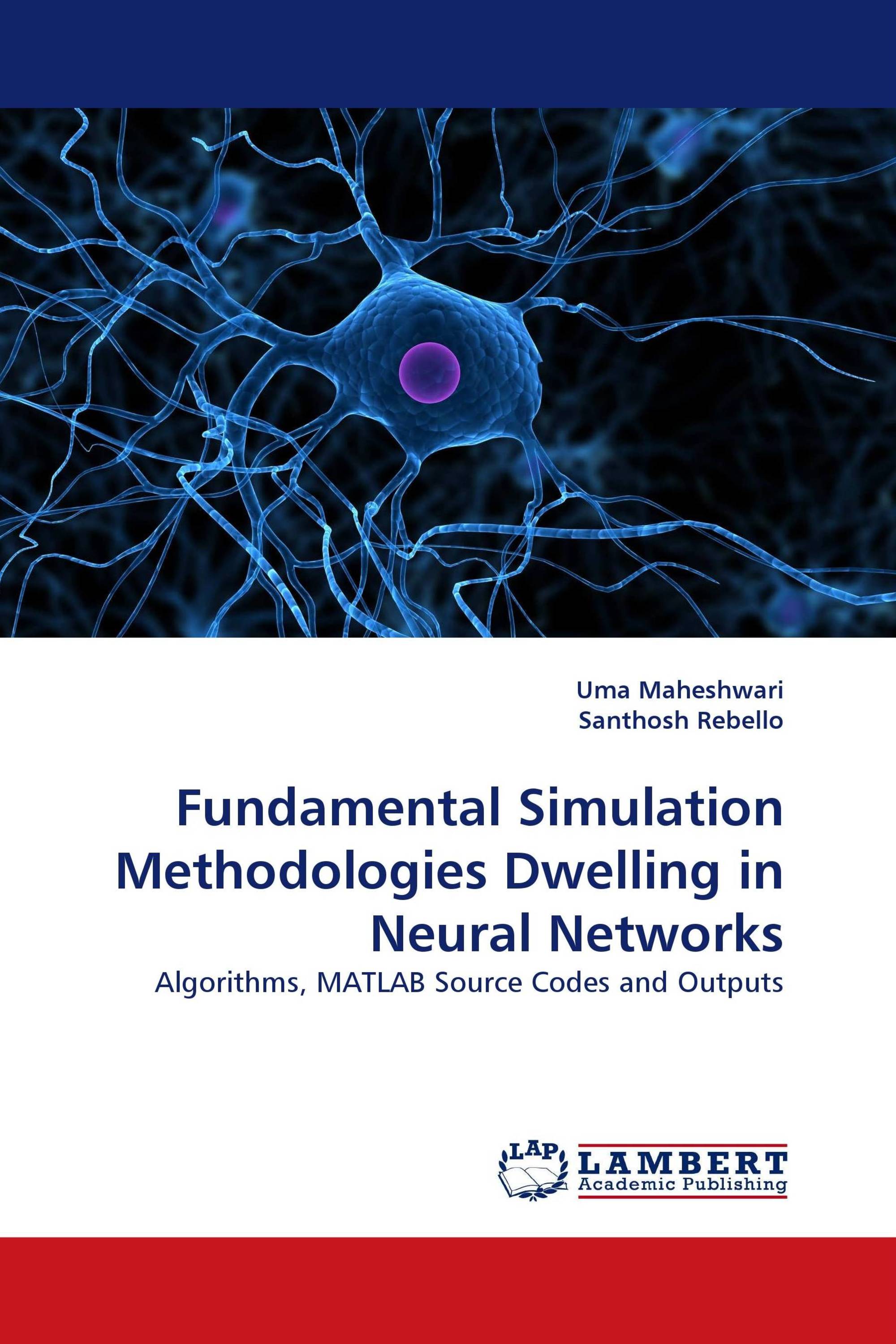 Fundamental Simulation Methodologies Dwelling in Neural Networks