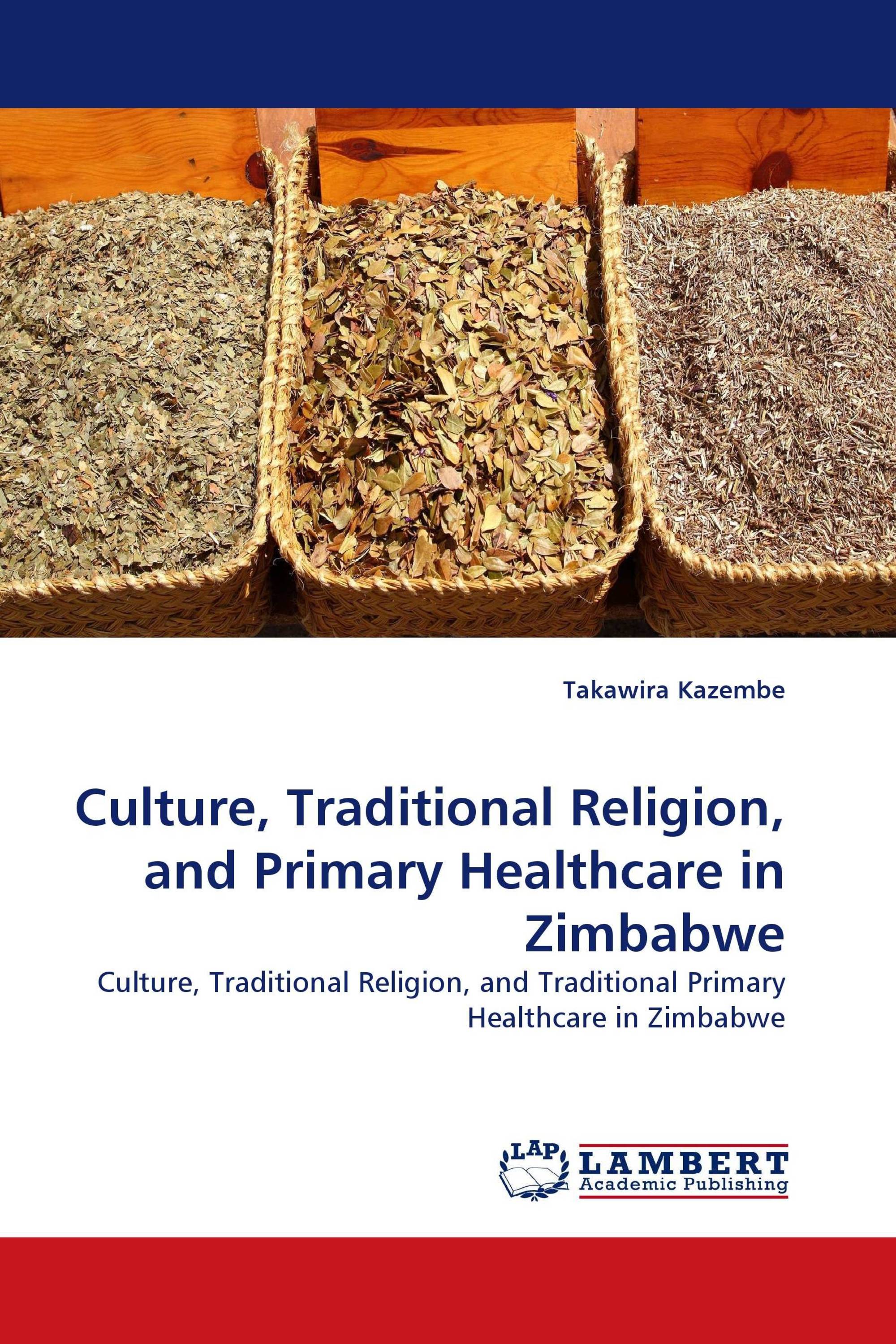 culture-traditional-religion-and-primary-healthcare-in-zimbabwe-978