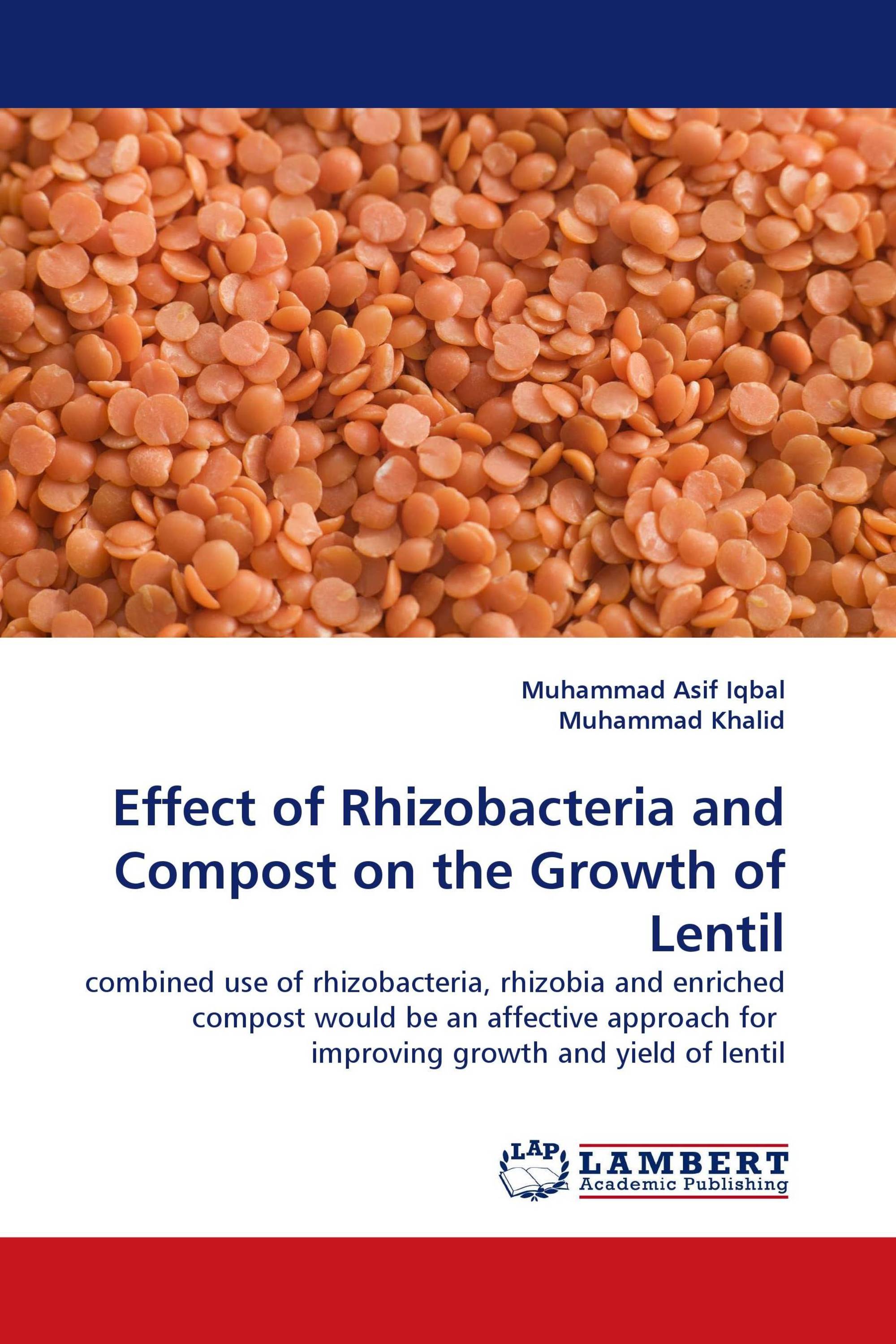 Effect of Rhizobacteria and Compost on the Growth of Lentil