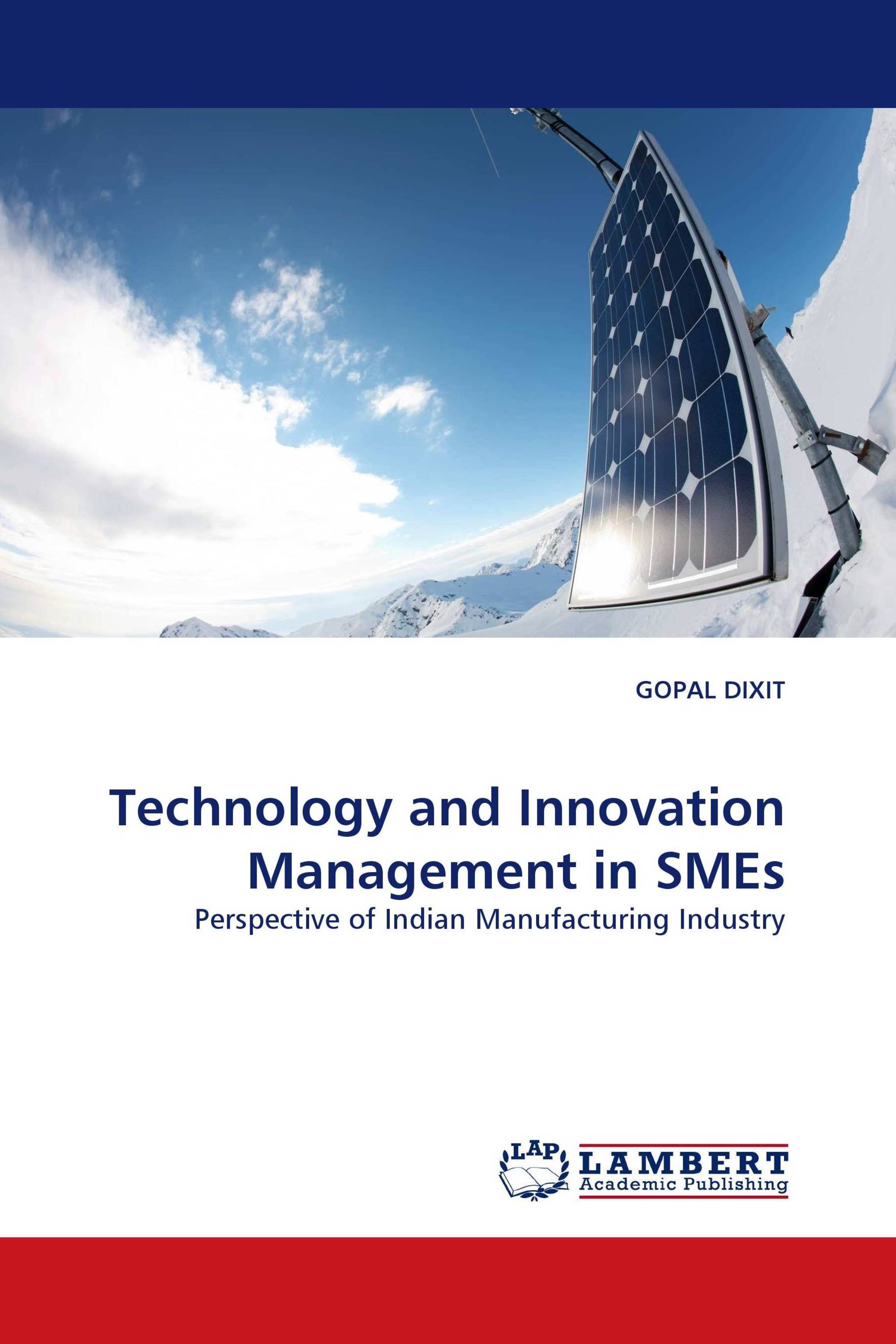 Technology and Innovation Management in SMEs