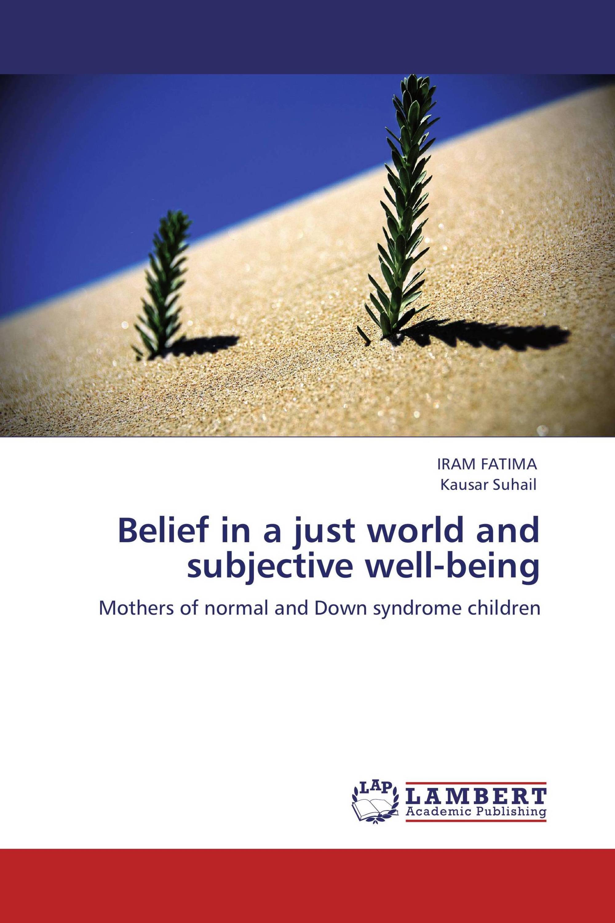 Belief in a just world and subjective well-being