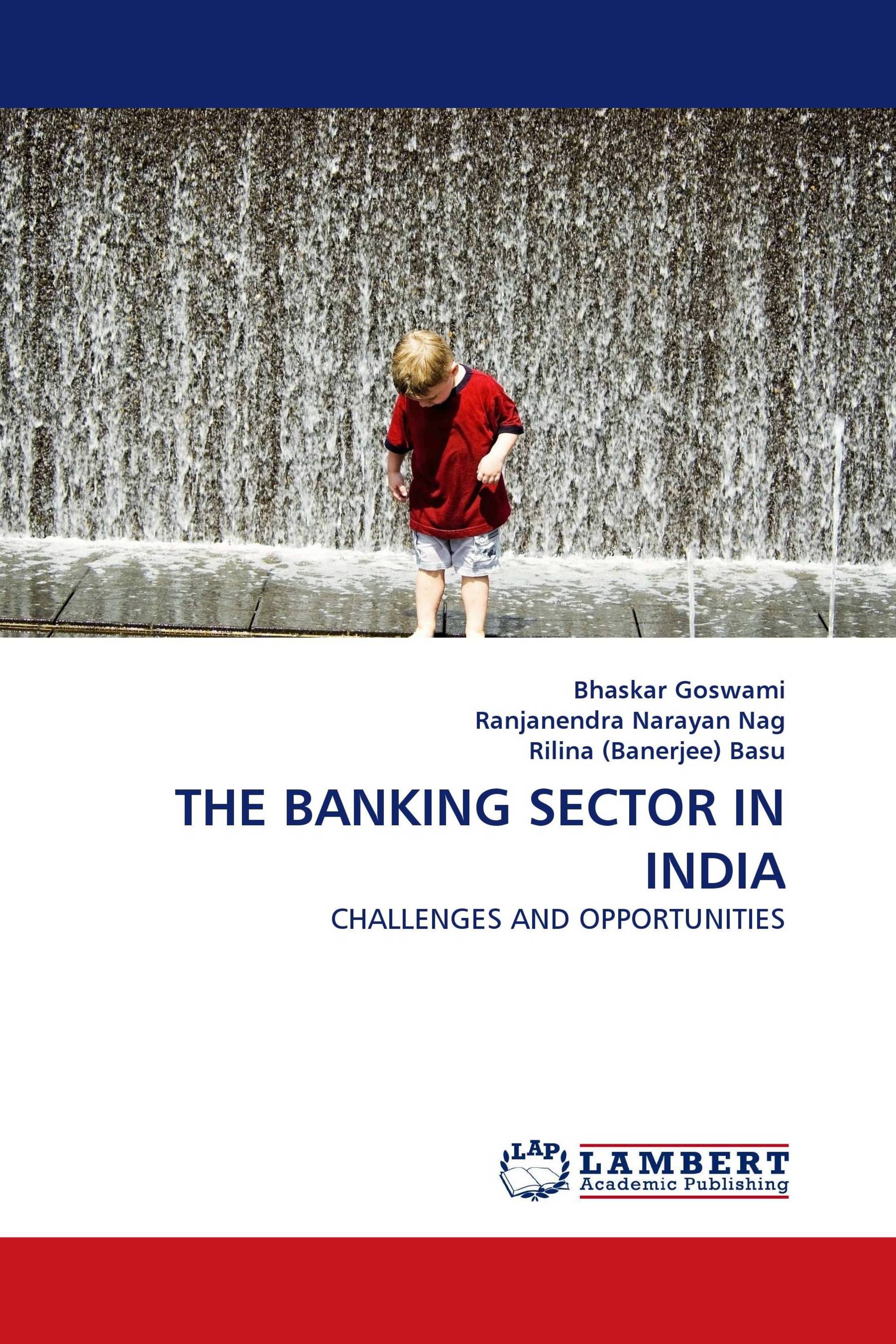 THE BANKING SECTOR IN INDIA