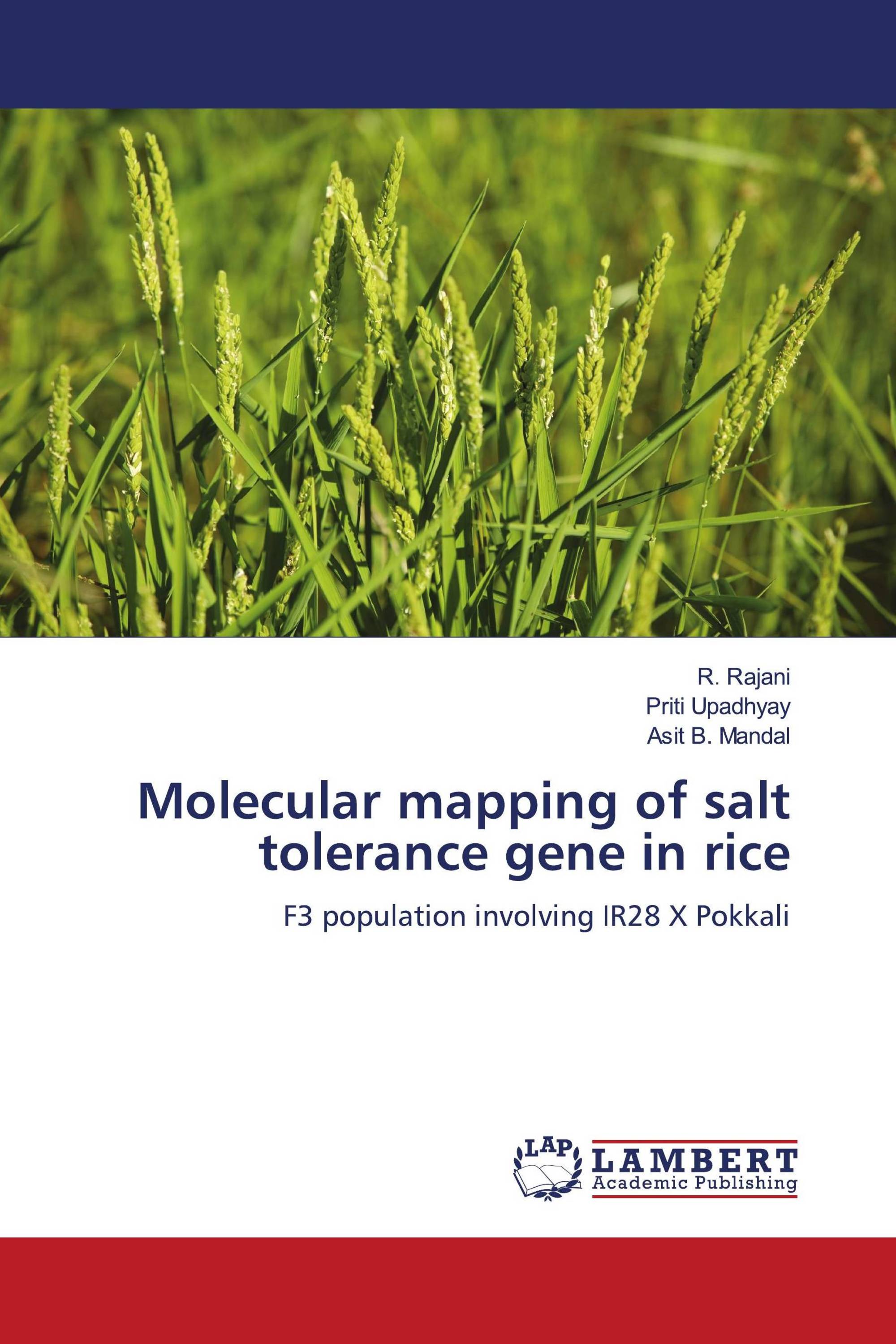 Molecular mapping of salt tolerance gene in rice