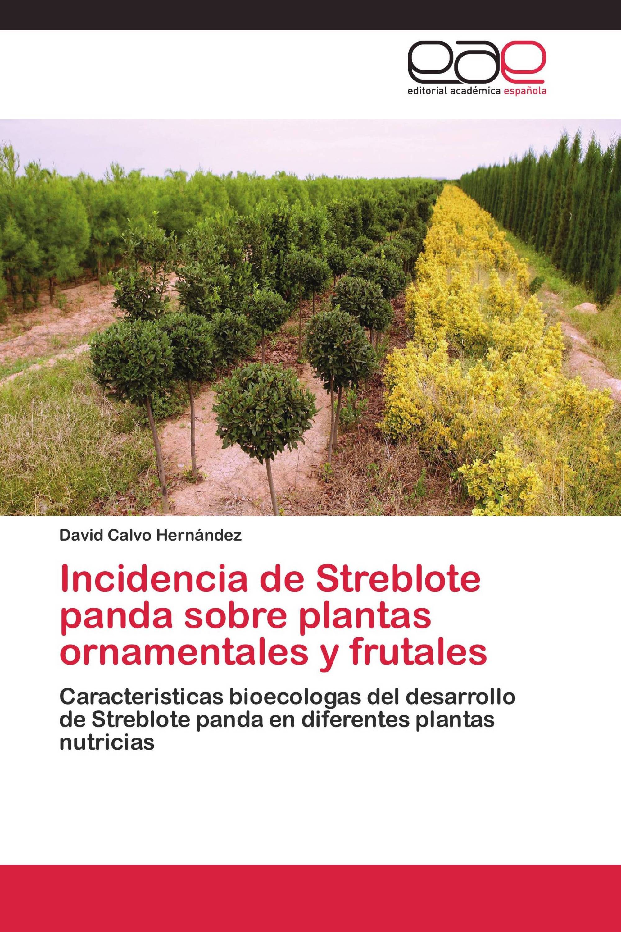 Incidencia de Streblote panda sobre plantas ornamentales y frutales