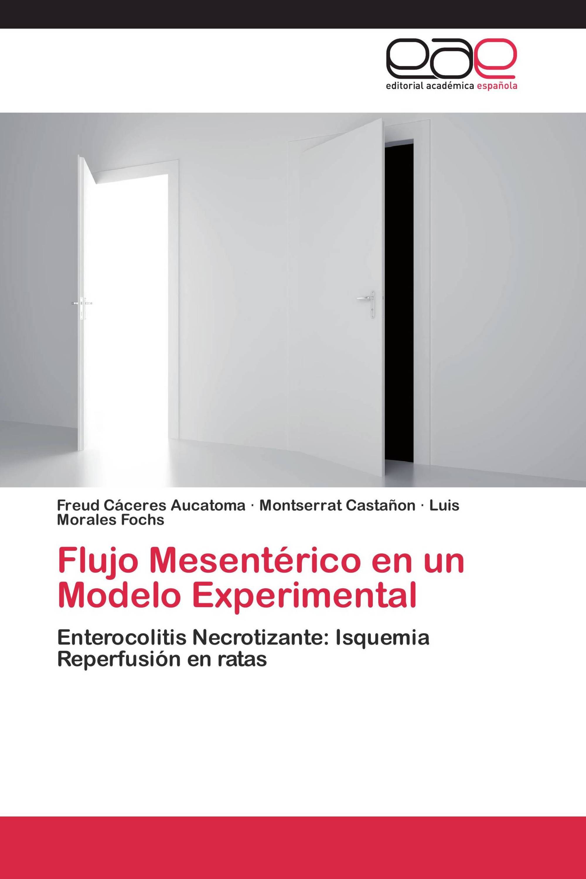 Flujo Mesentérico en un Modelo Experimental