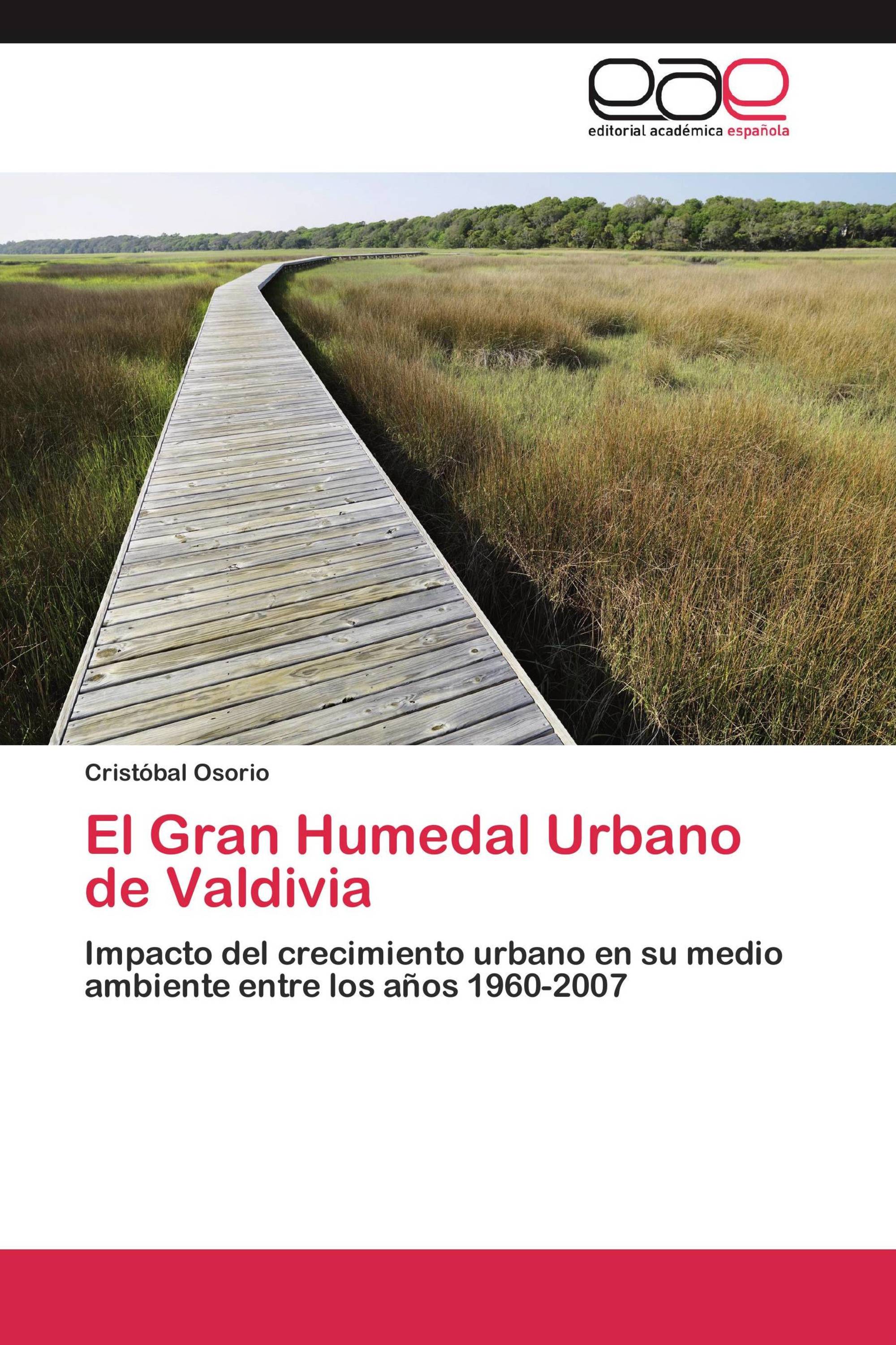 El Gran Humedal Urbano de Valdivia