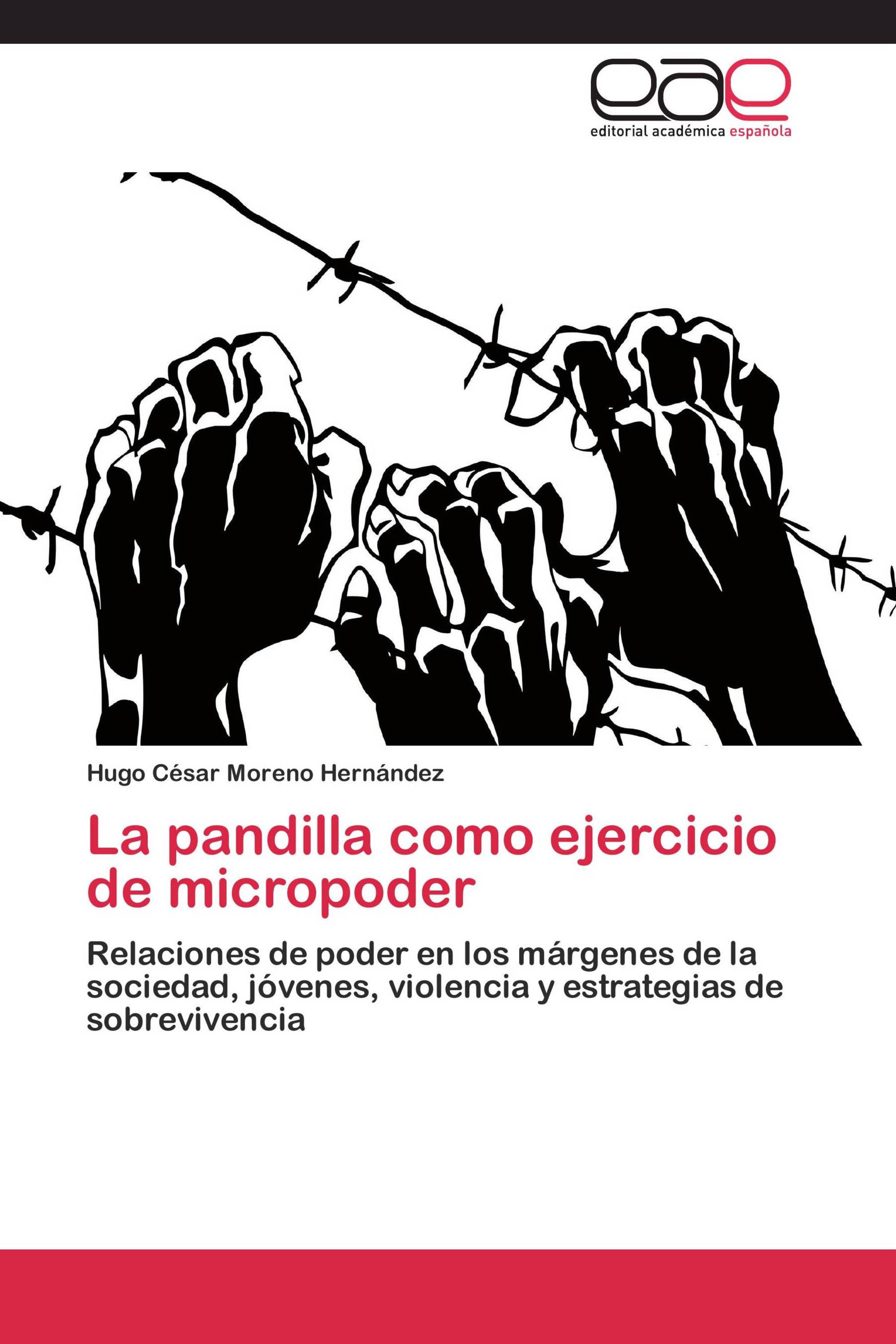 La pandilla como ejercicio de micropoder