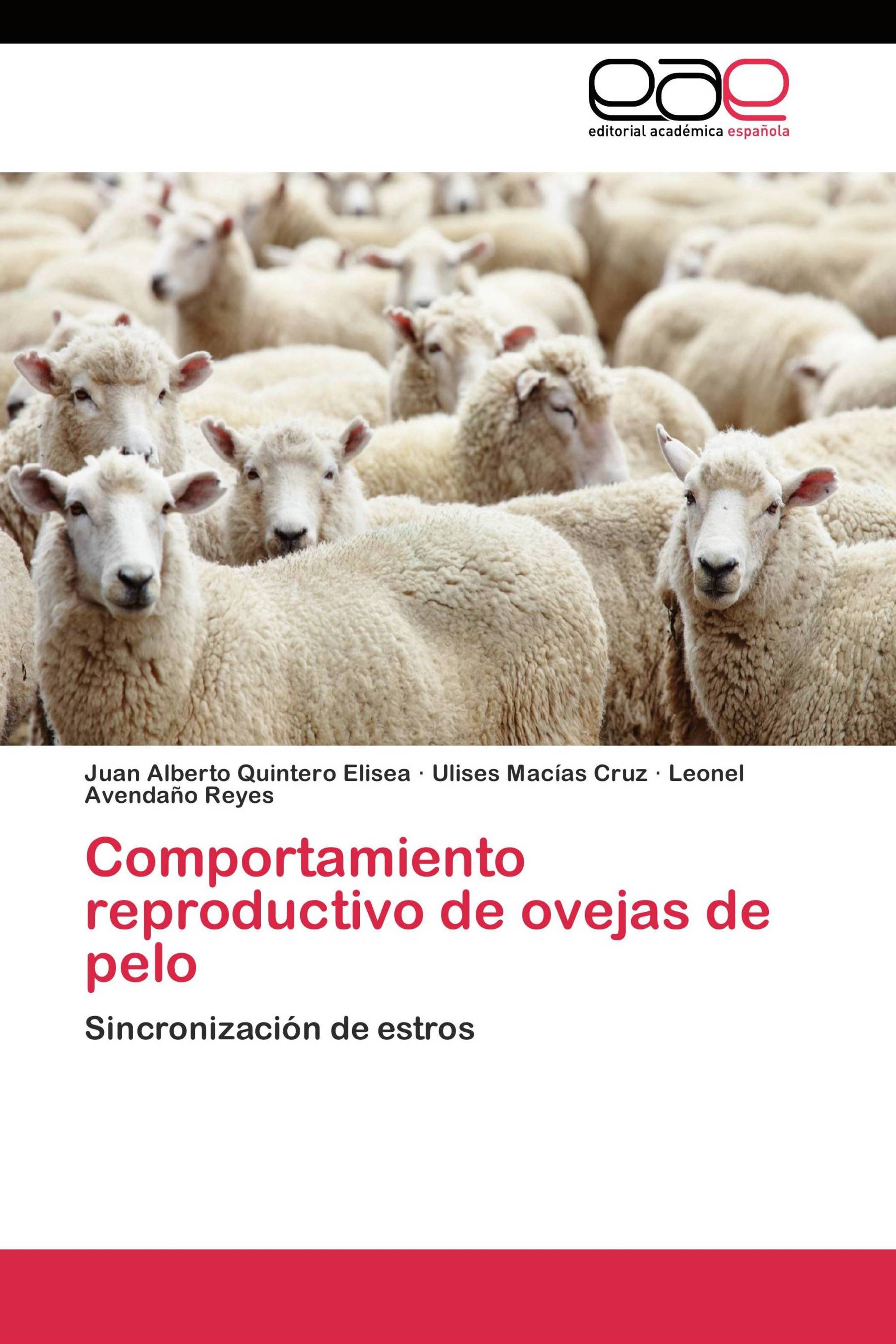 Comportamiento reproductivo de ovejas de pelo