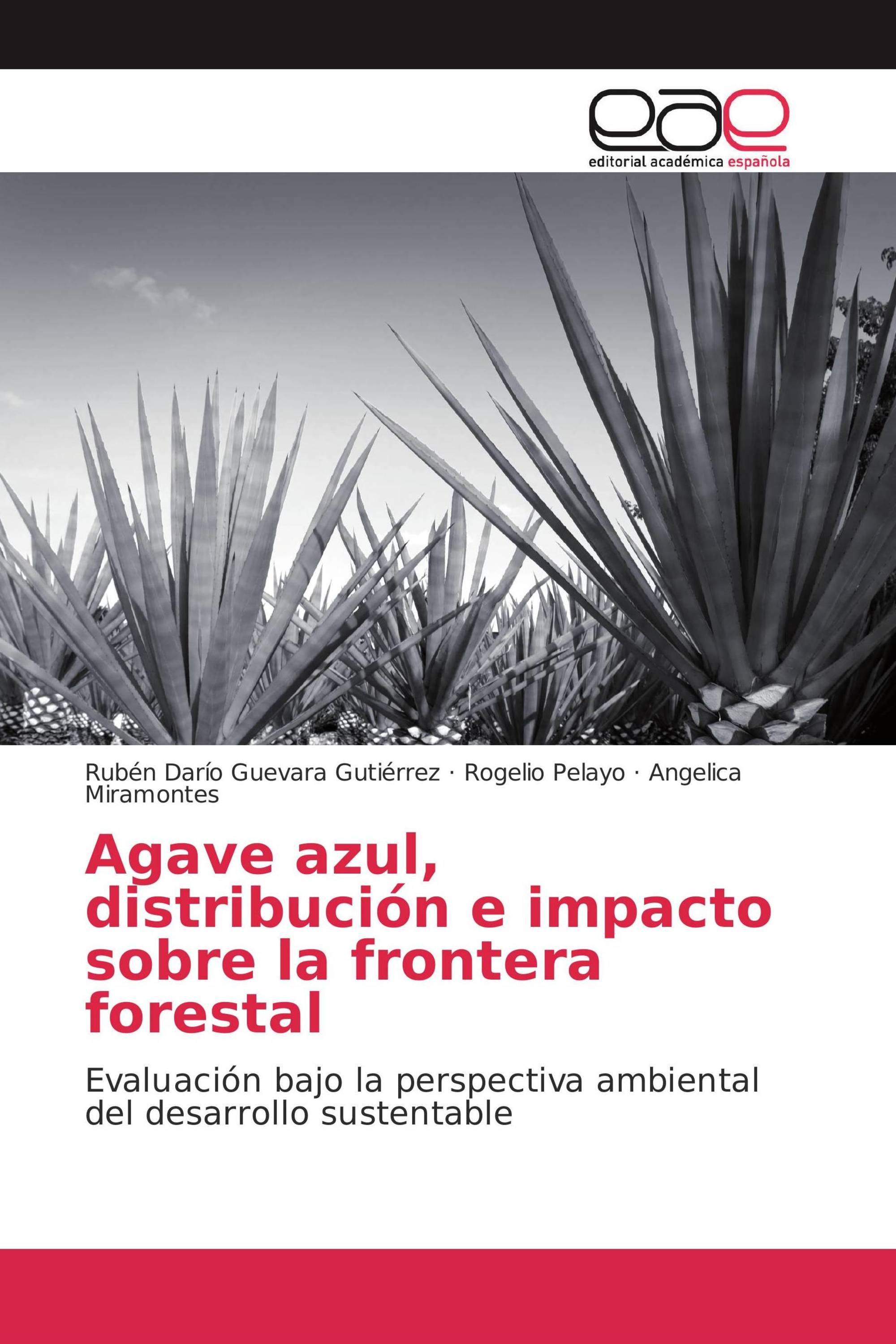 Agave azul, distribución e impacto sobre la frontera forestal