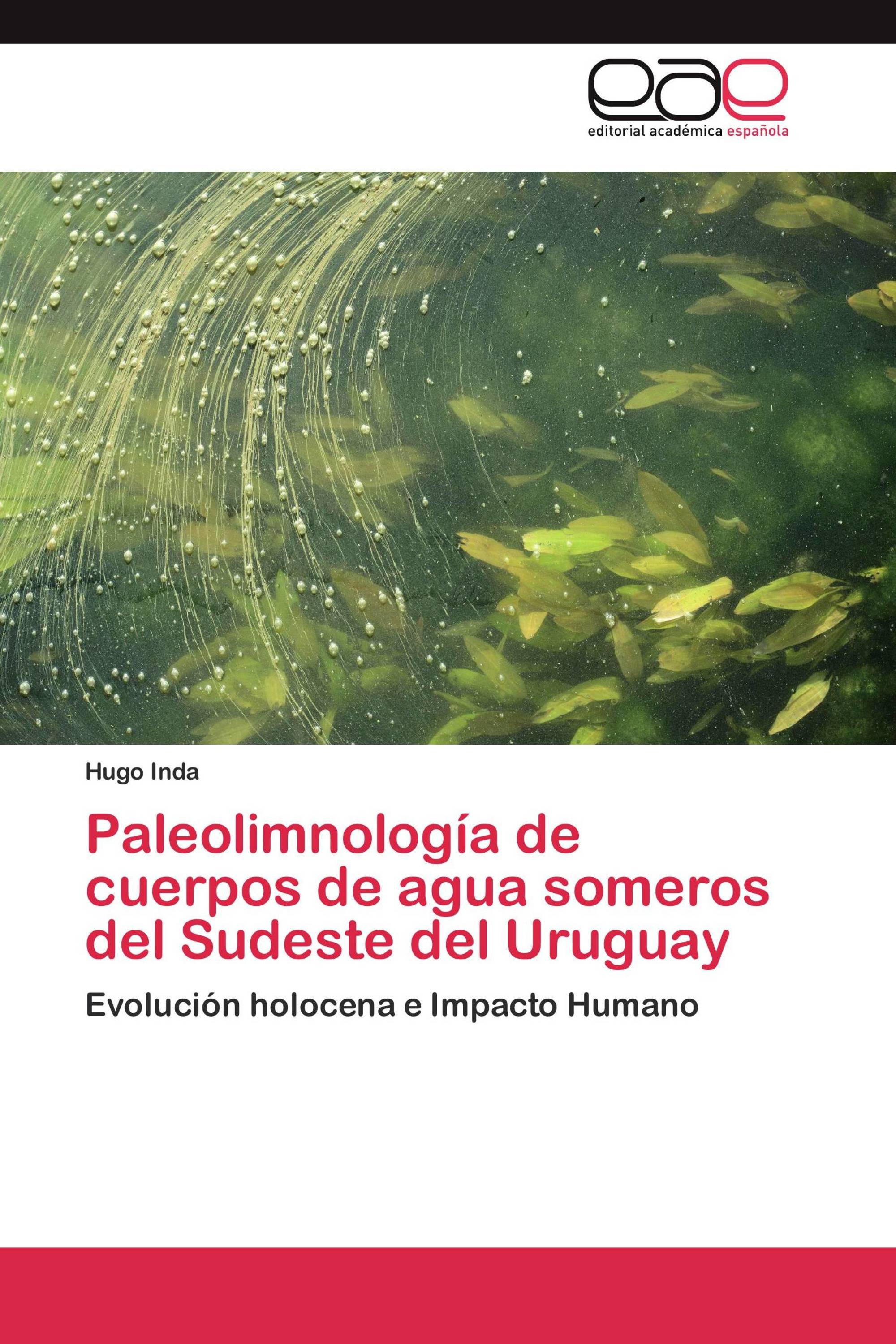 Paleolimnología de cuerpos de agua someros del Sudeste del Uruguay