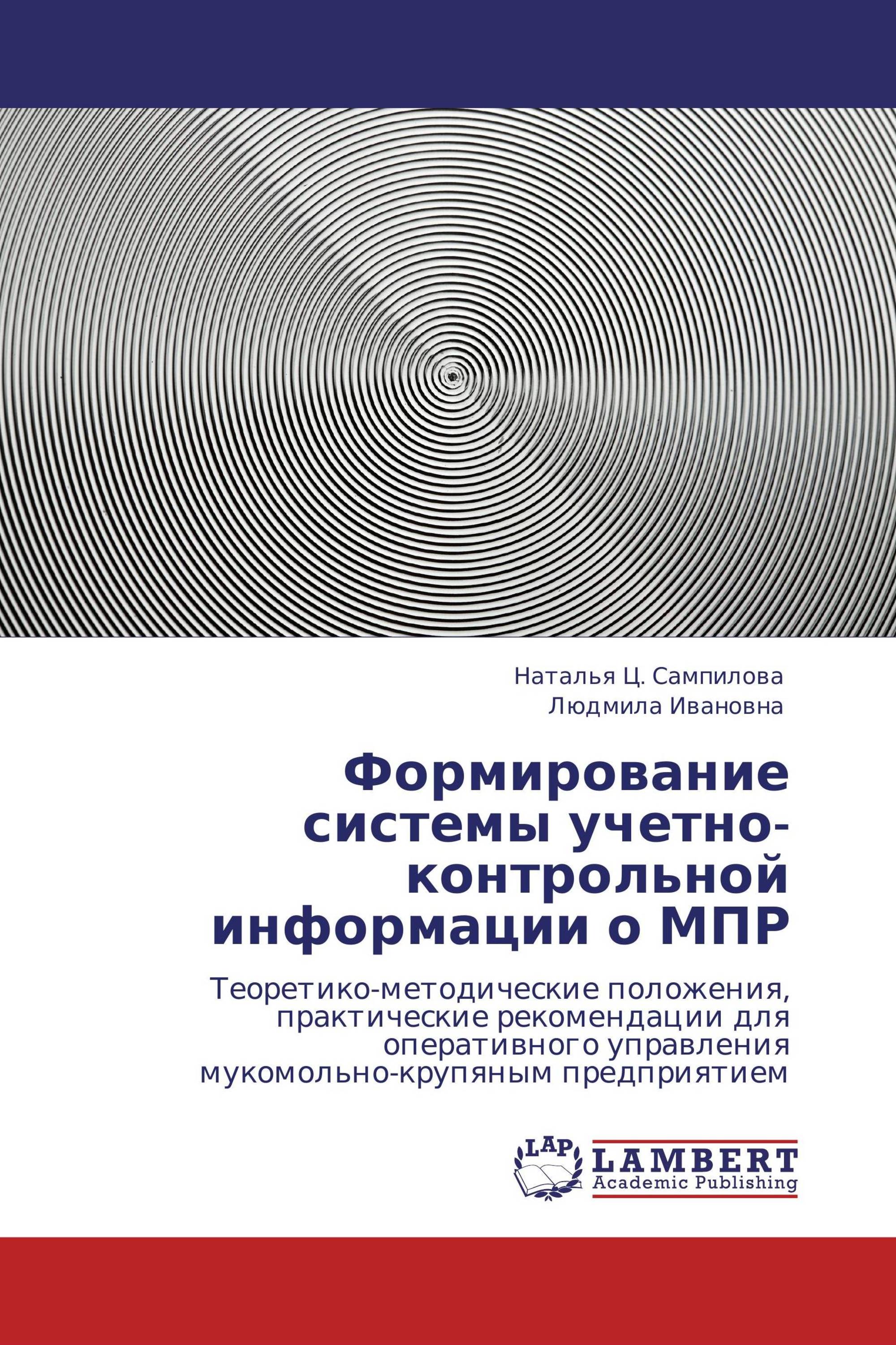 Формирование системы учетно-контрольной информации о МПР