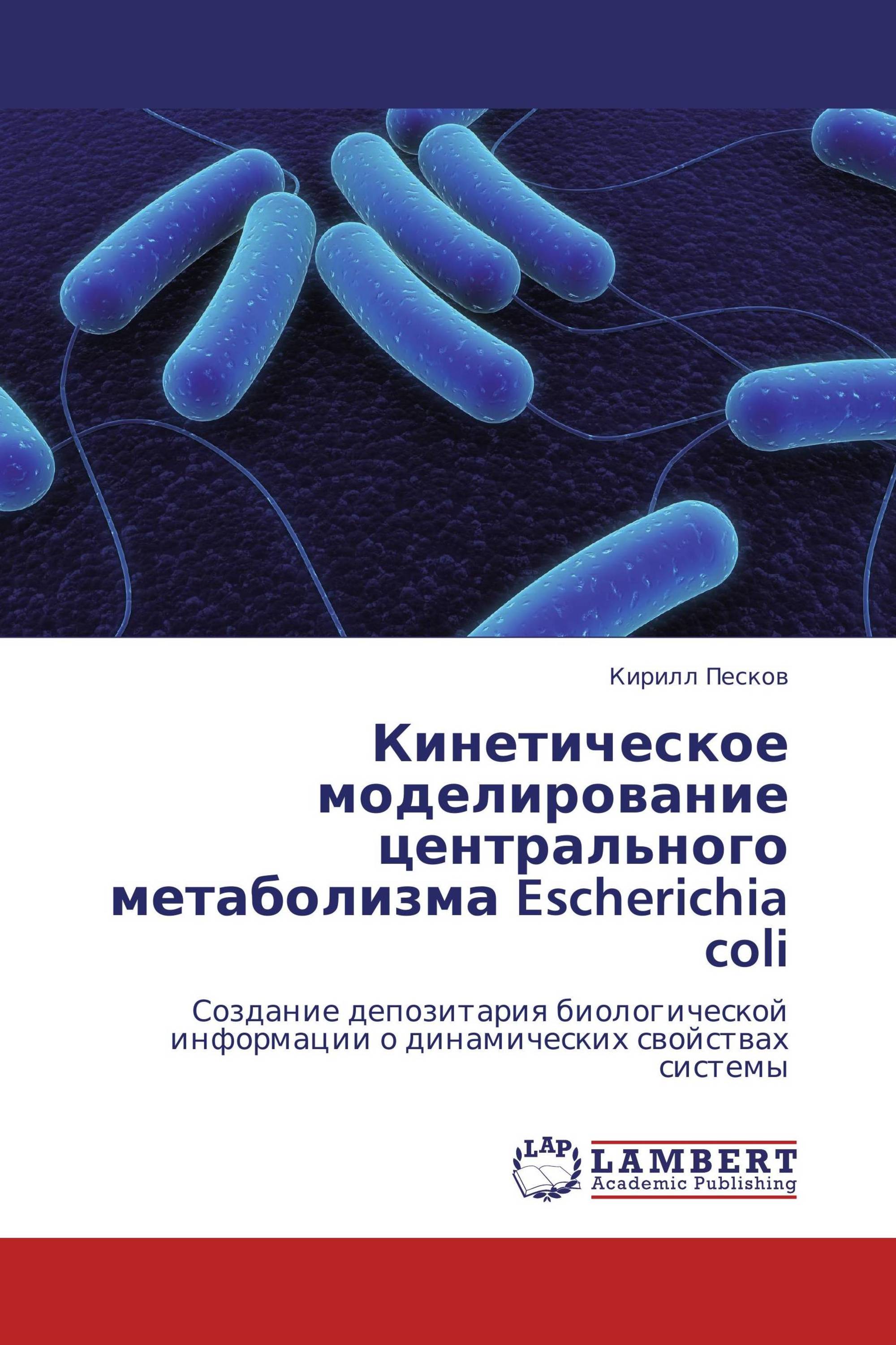 Кинетическое моделирование центрального метаболизма Escherichia coli