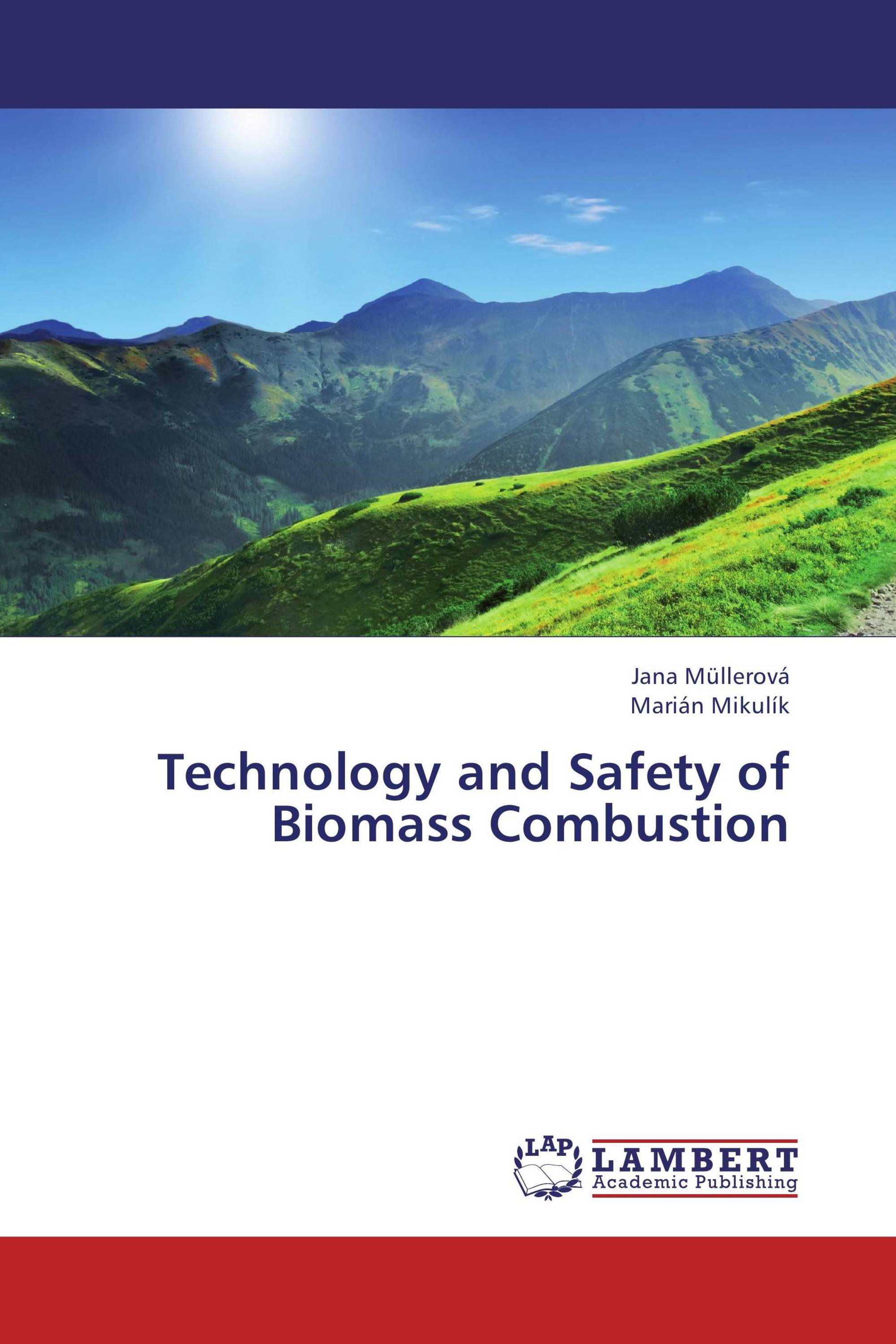 Technology and Safety of Biomass Combustion