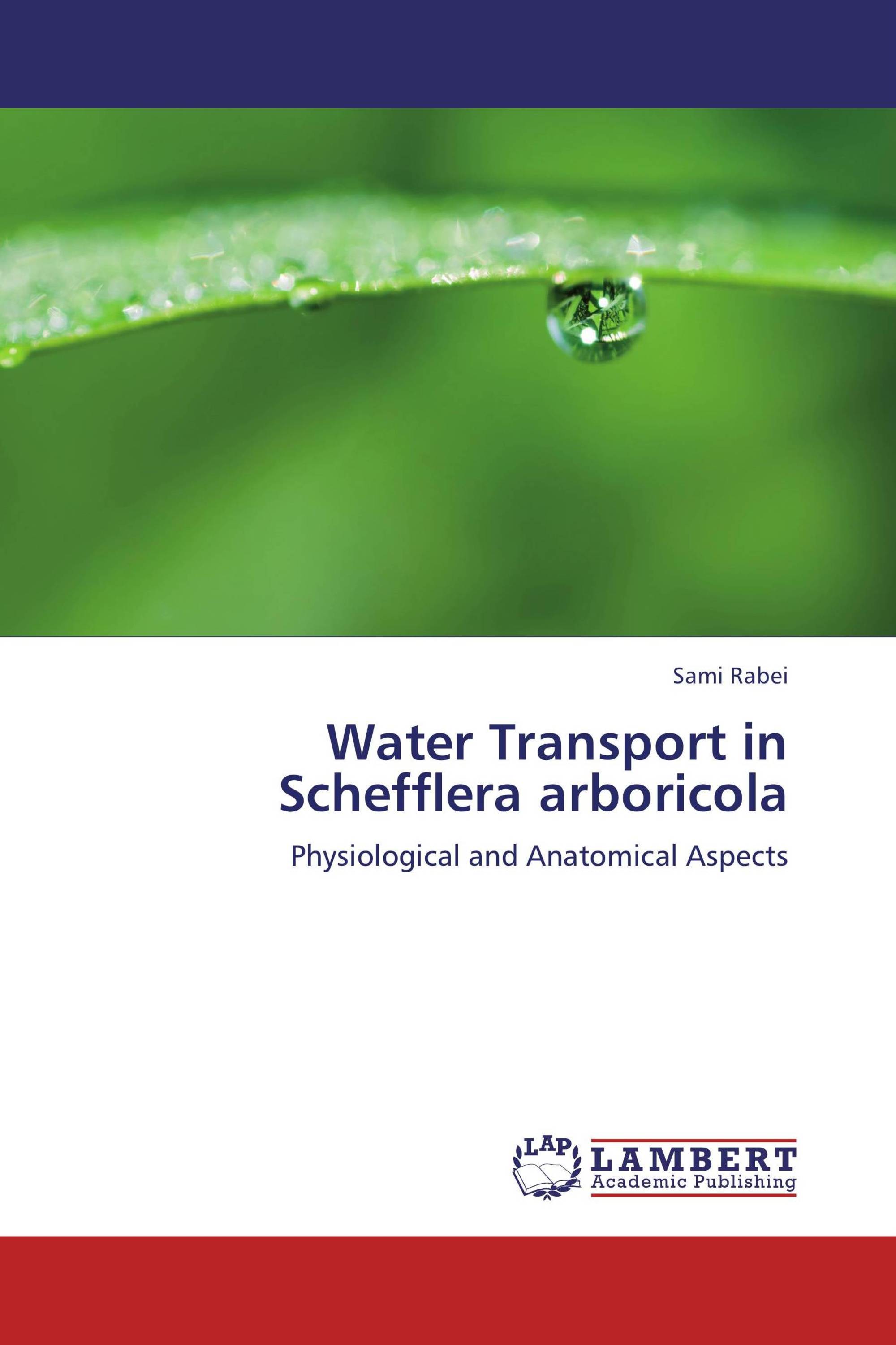 Water Transport in Schefflera arboricola