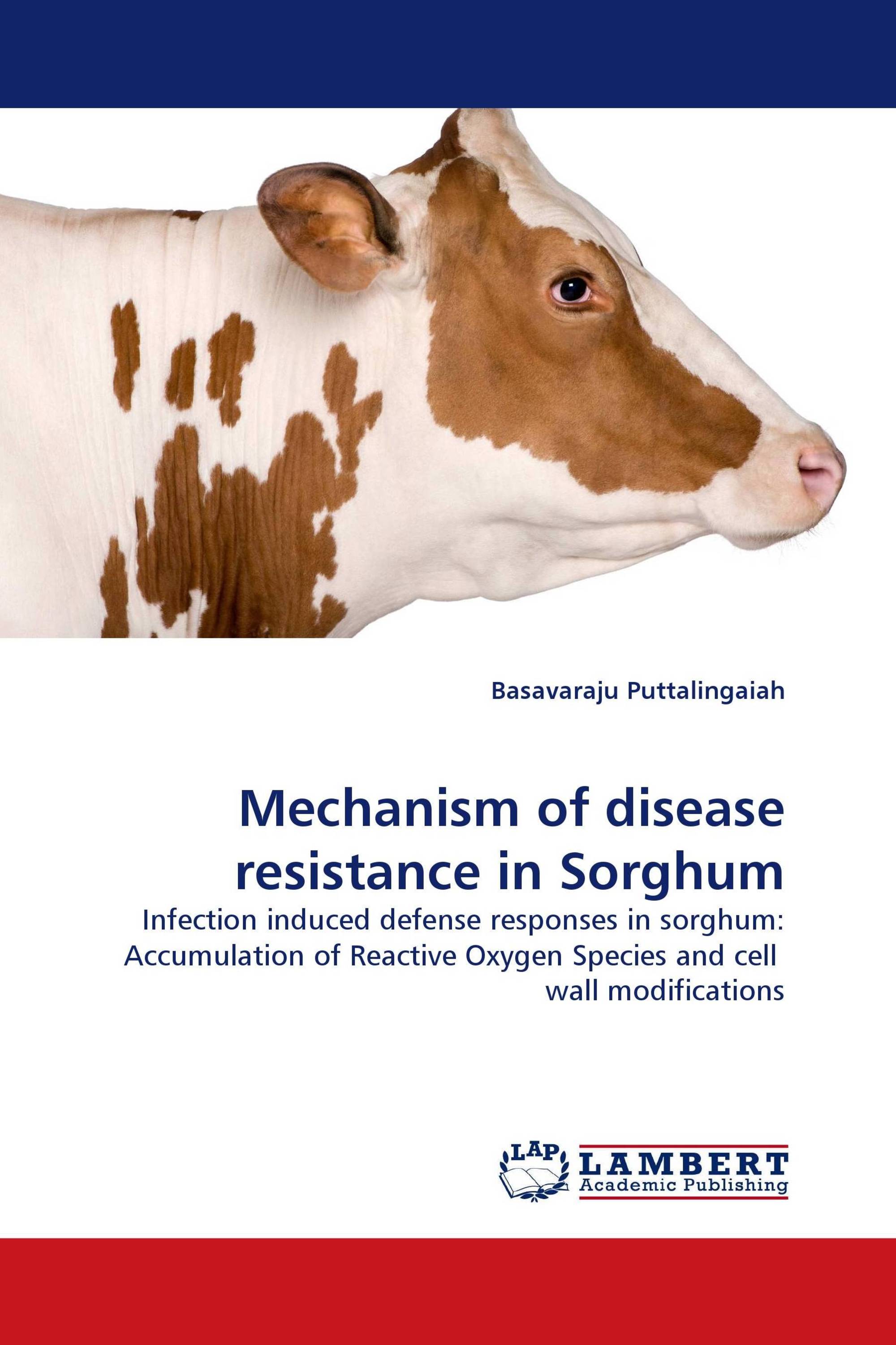 Mechanism of disease resistance in Sorghum