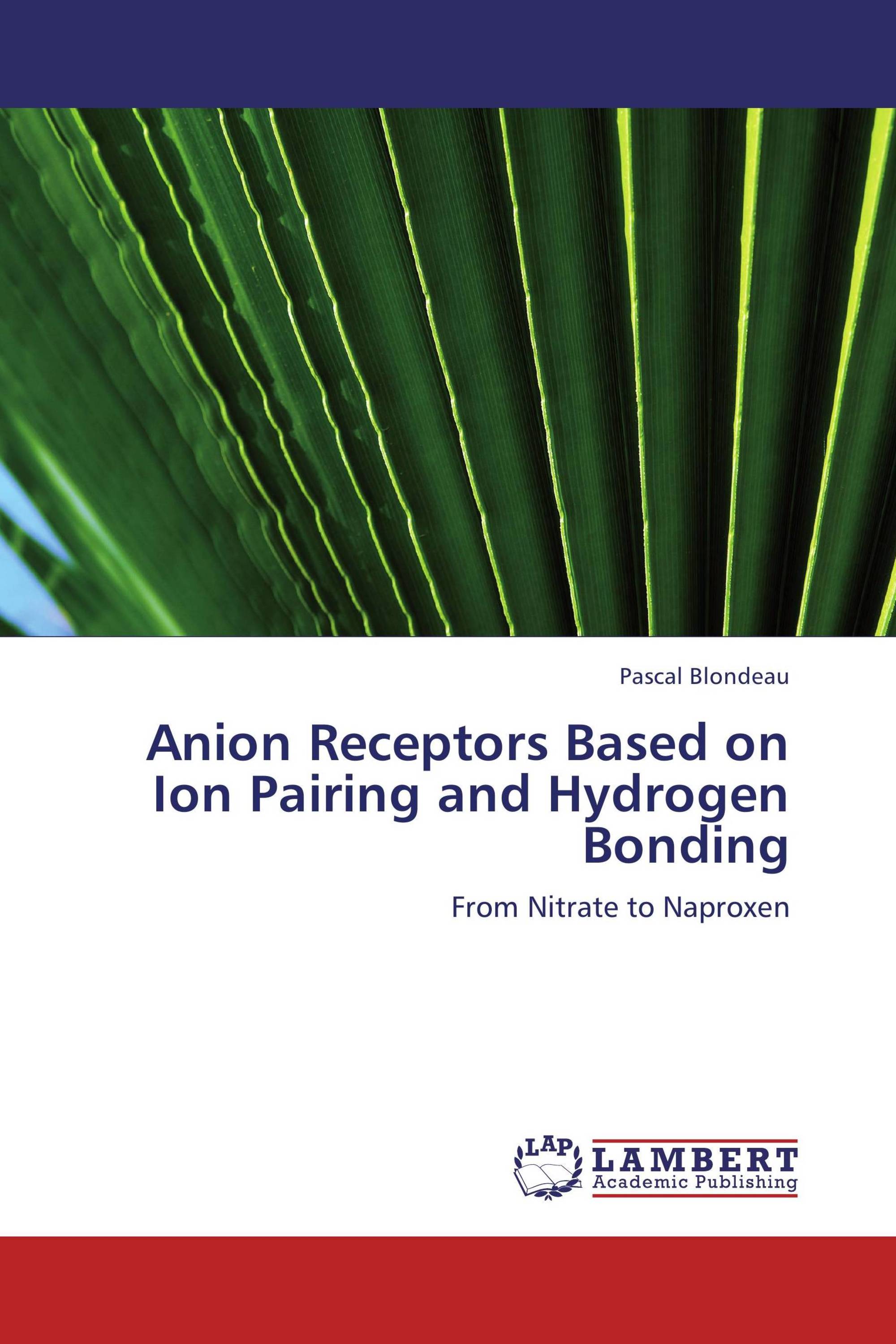 Anion Receptors Based on Ion Pairing and Hydrogen Bonding