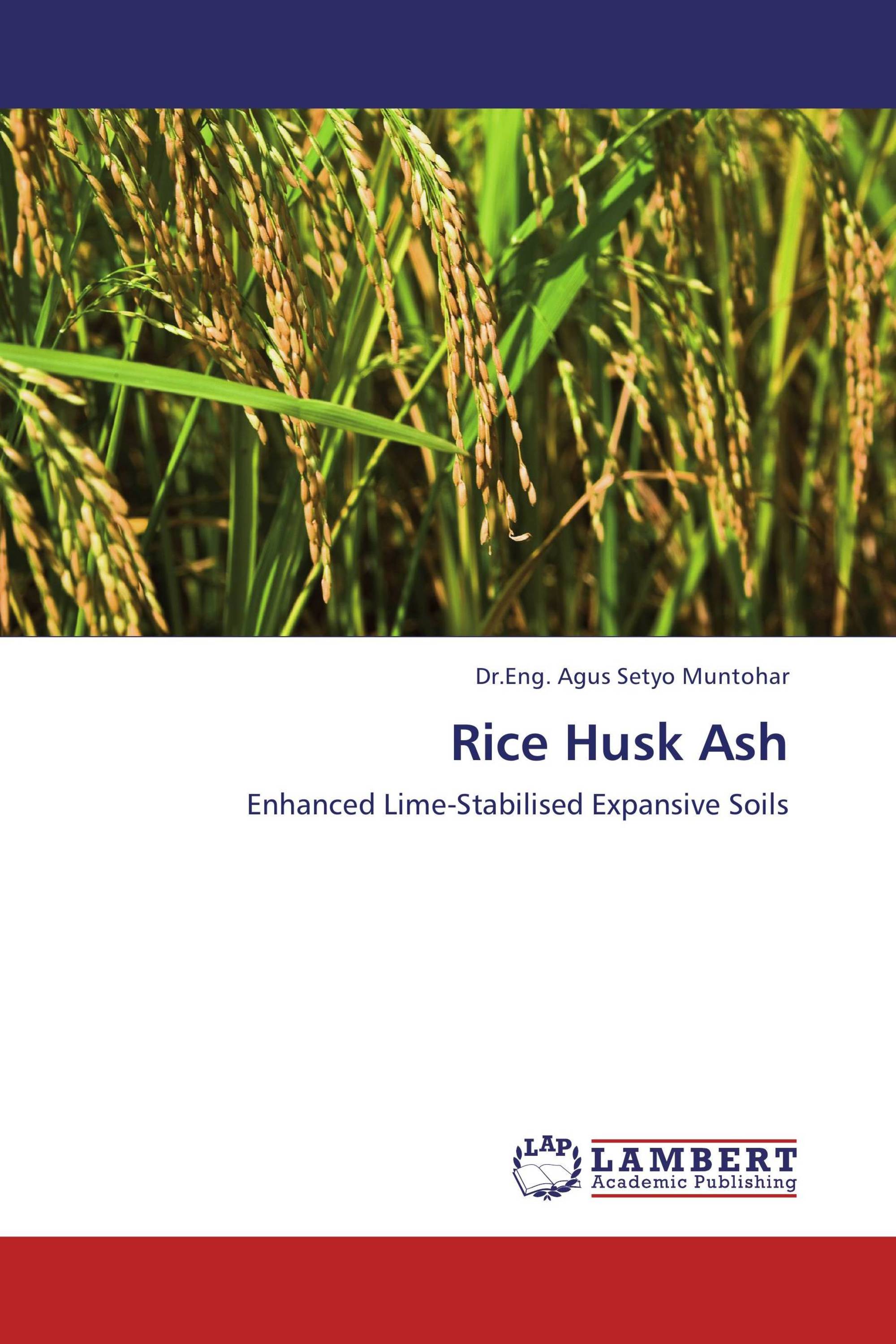 Rice Husk Ash