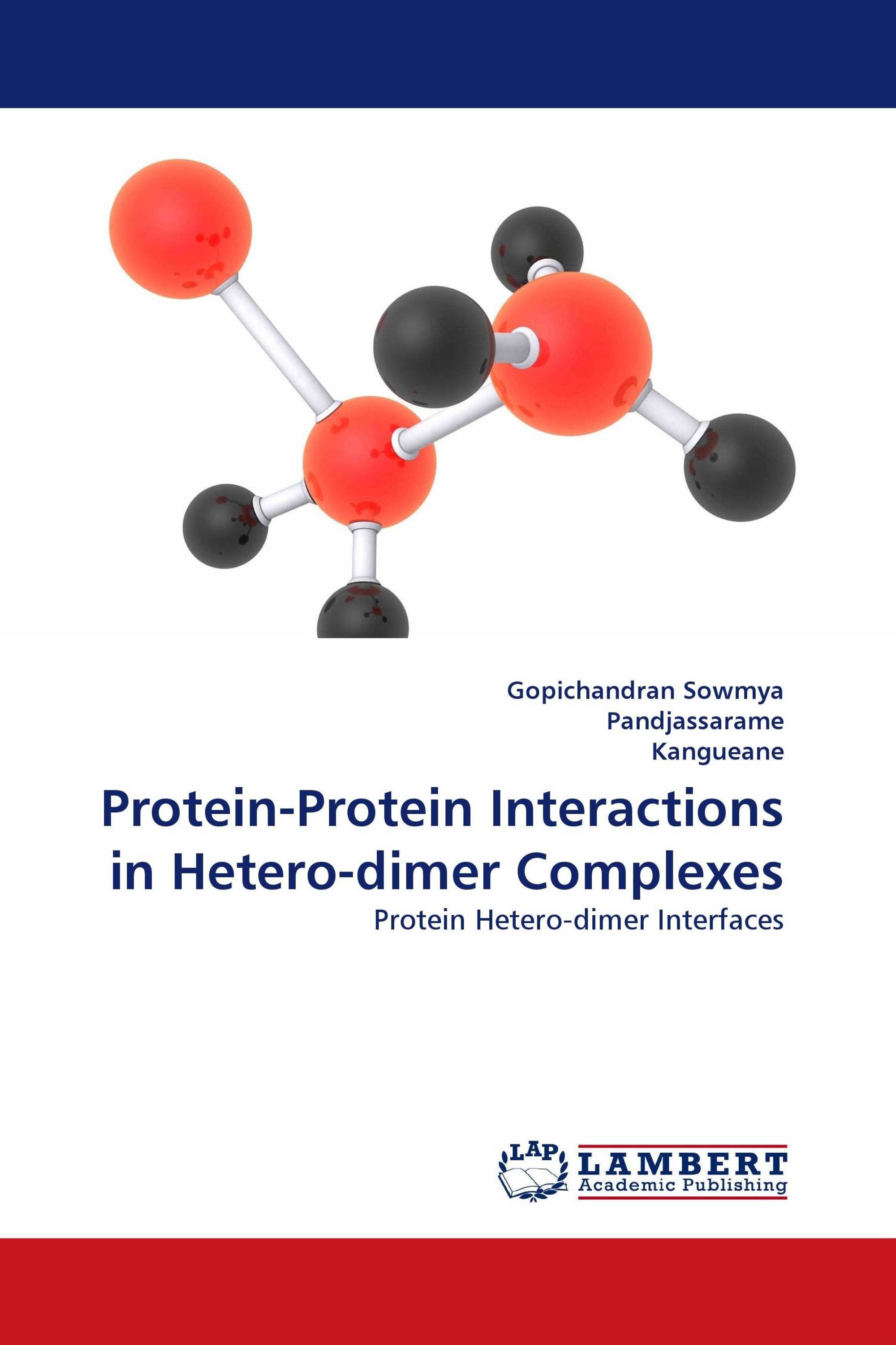 Protein-Protein Interactions in Hetero-dimer Complexes