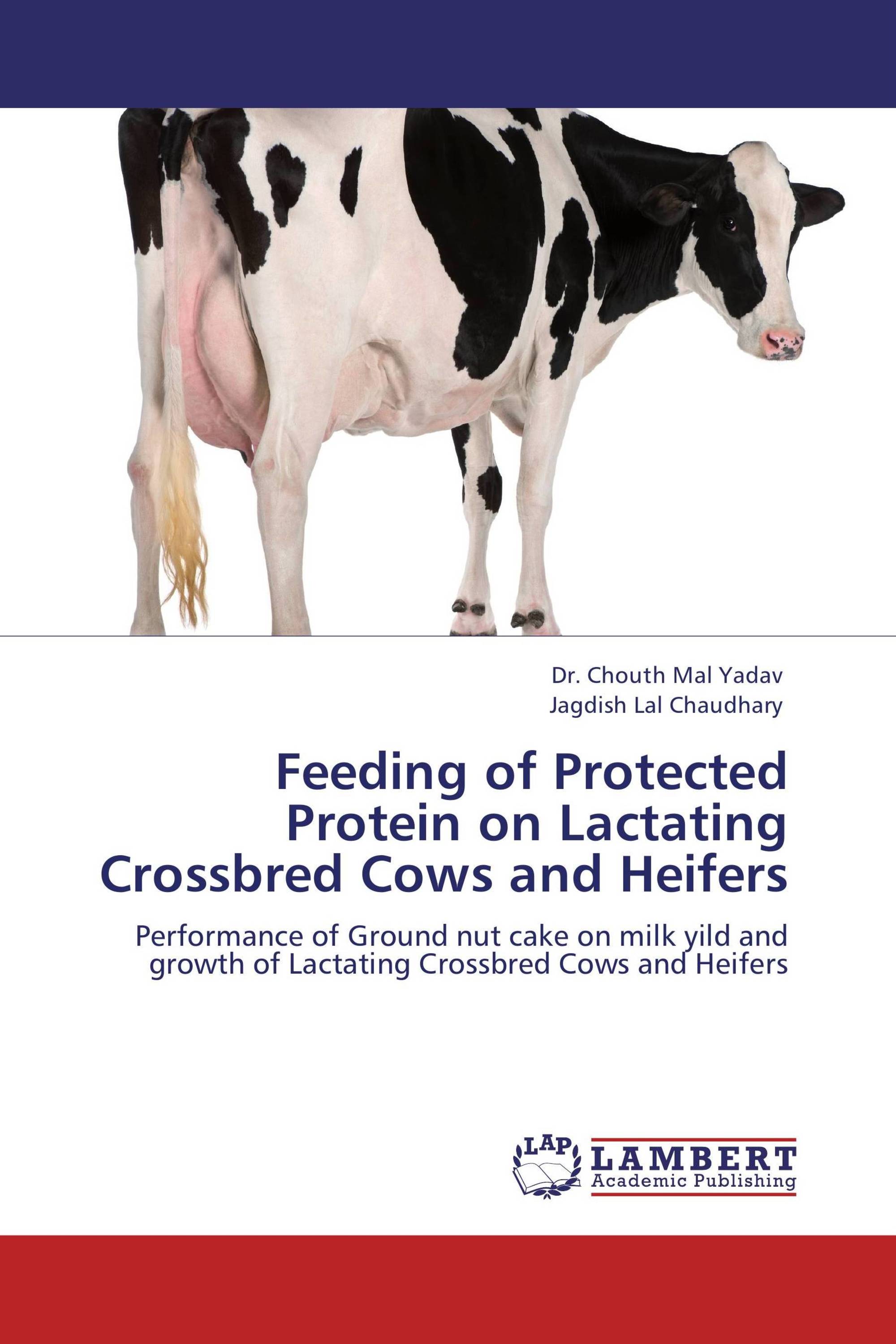 Feeding of Protected Protein on Lactating Crossbred Cows and Heifers