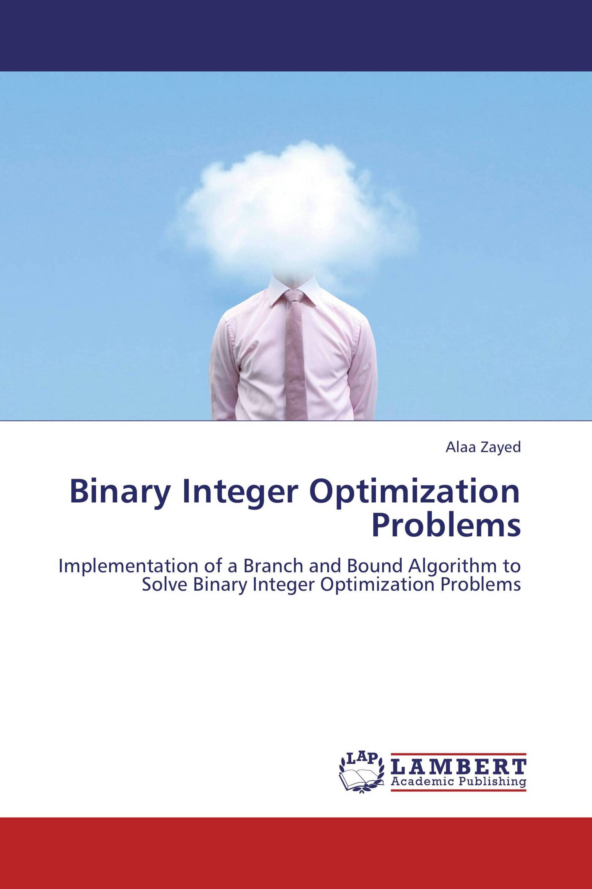 Binary Integer Optimization Problems