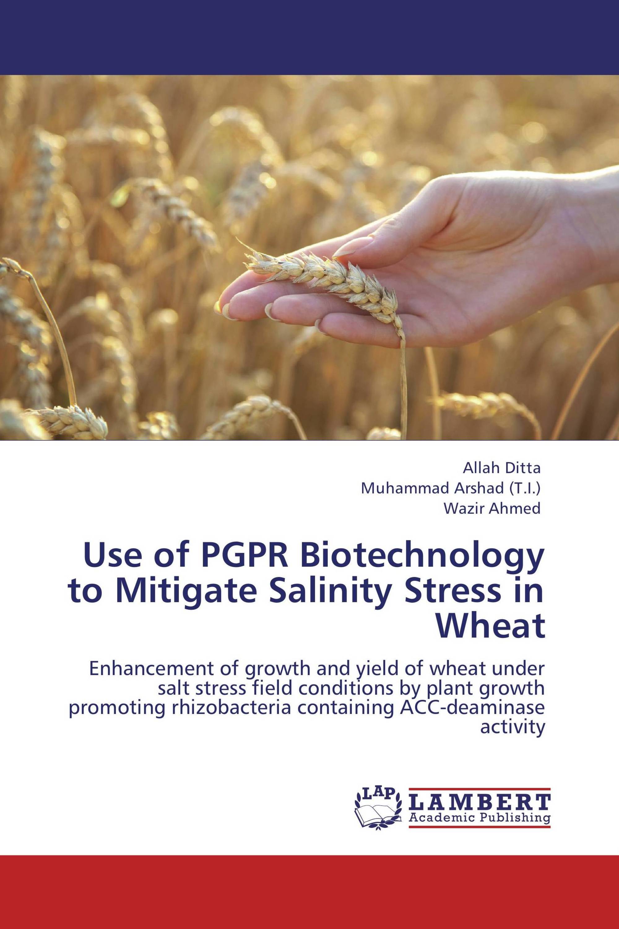 Use of PGPR Biotechnology to Mitigate Salinity Stress in Wheat