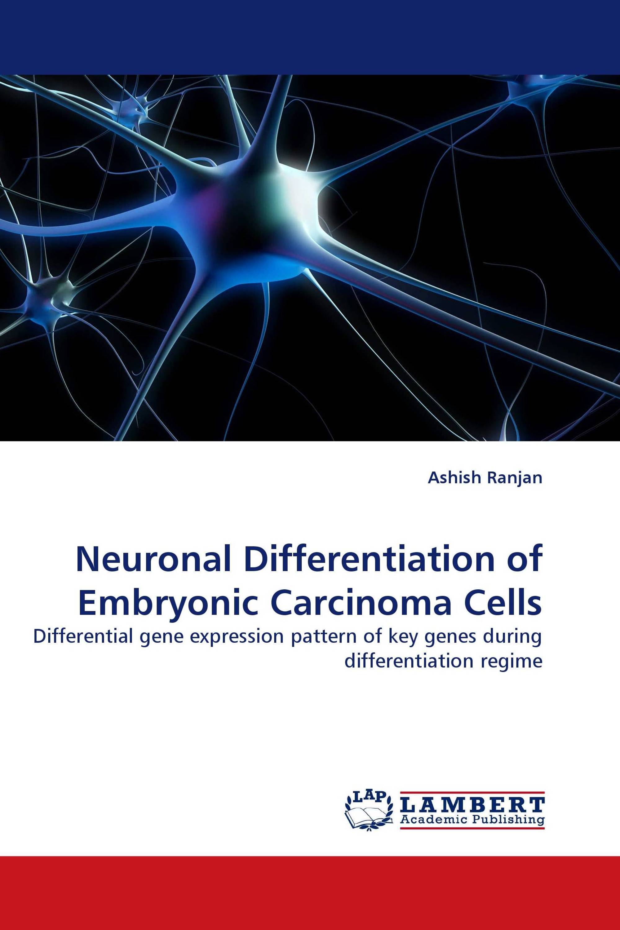 Neuronal Differentiation of Embryonic Carcinoma Cells