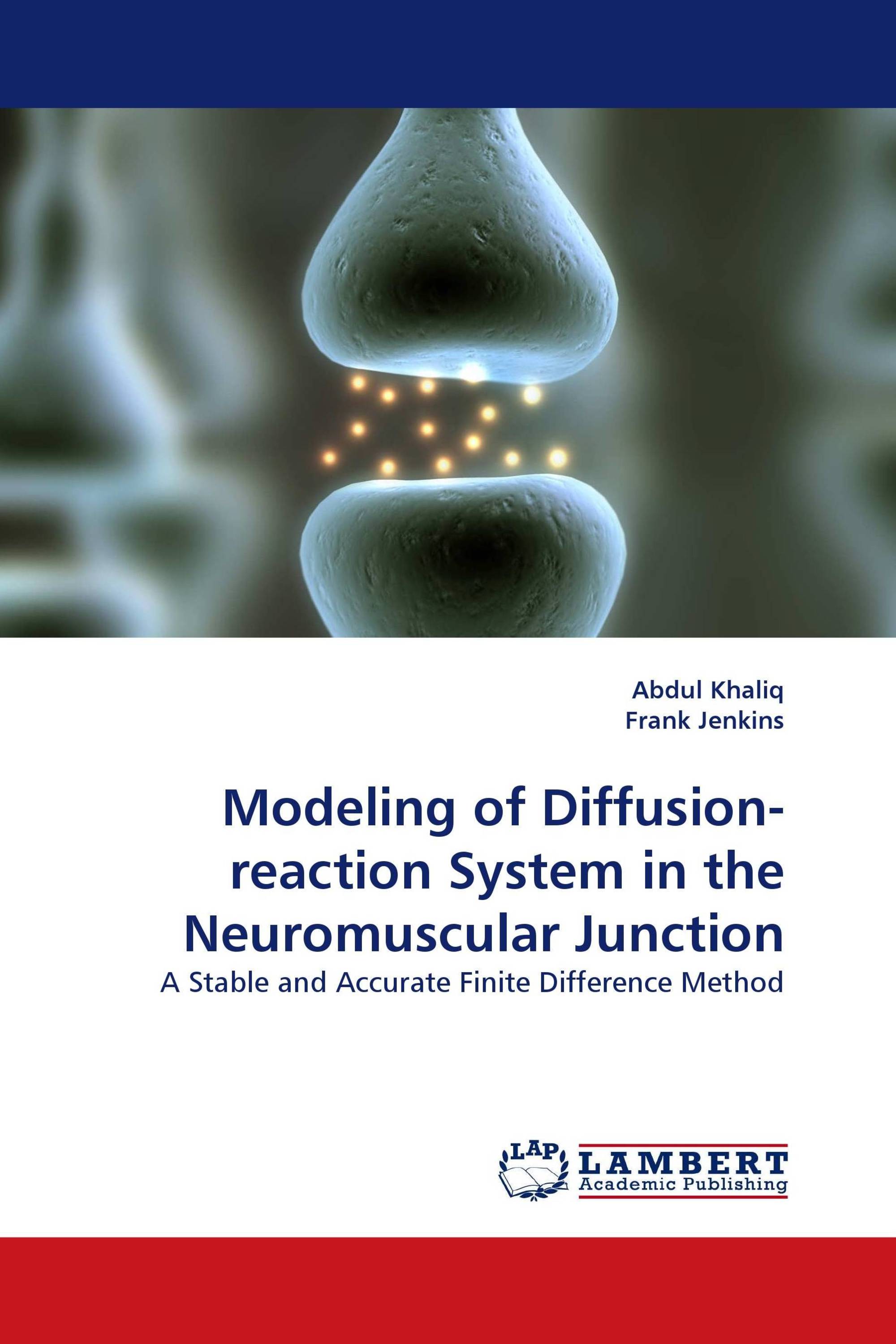 Modeling of Diffusion-reaction System in the Neuromuscular Junction