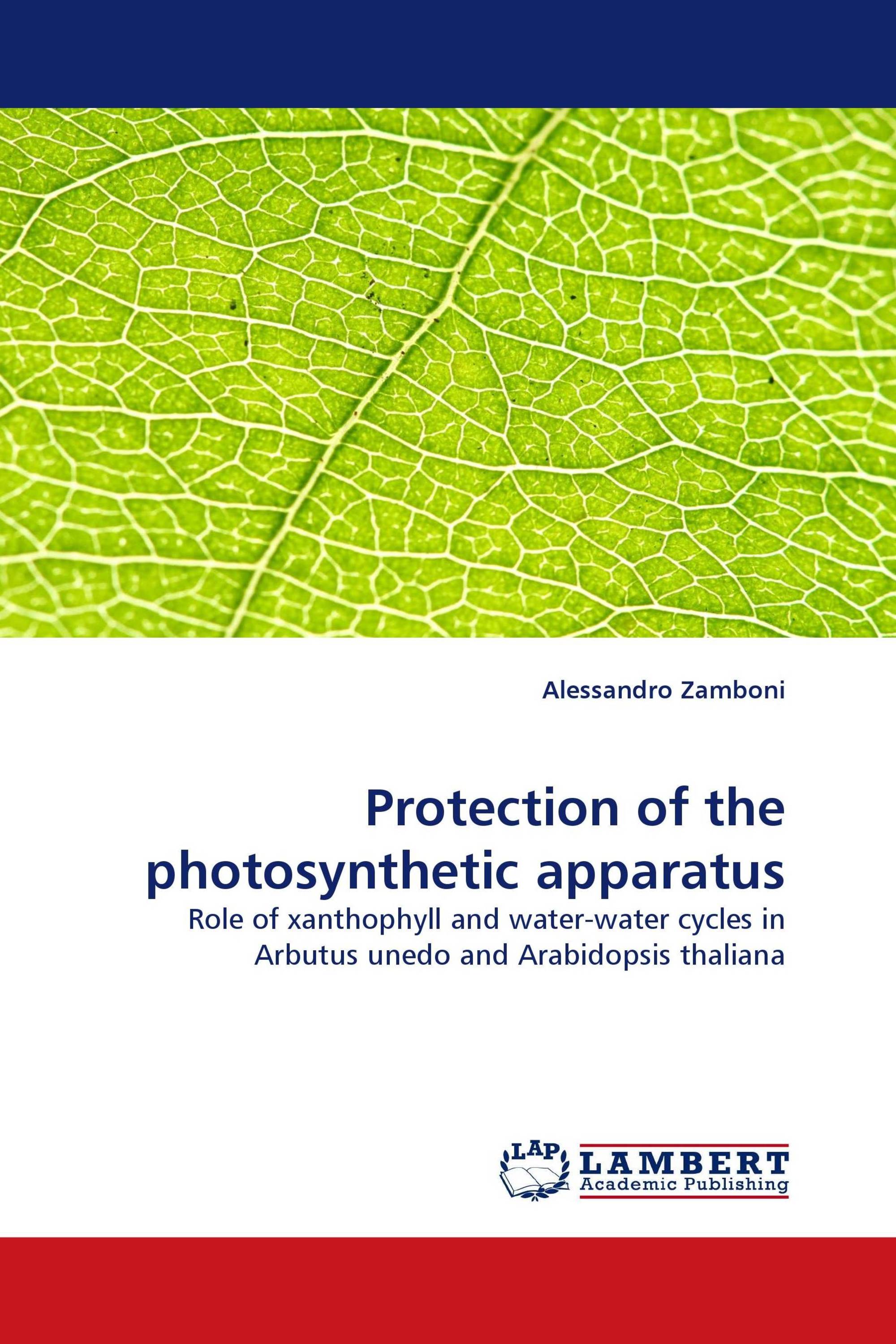 Protection of the photosynthetic apparatus