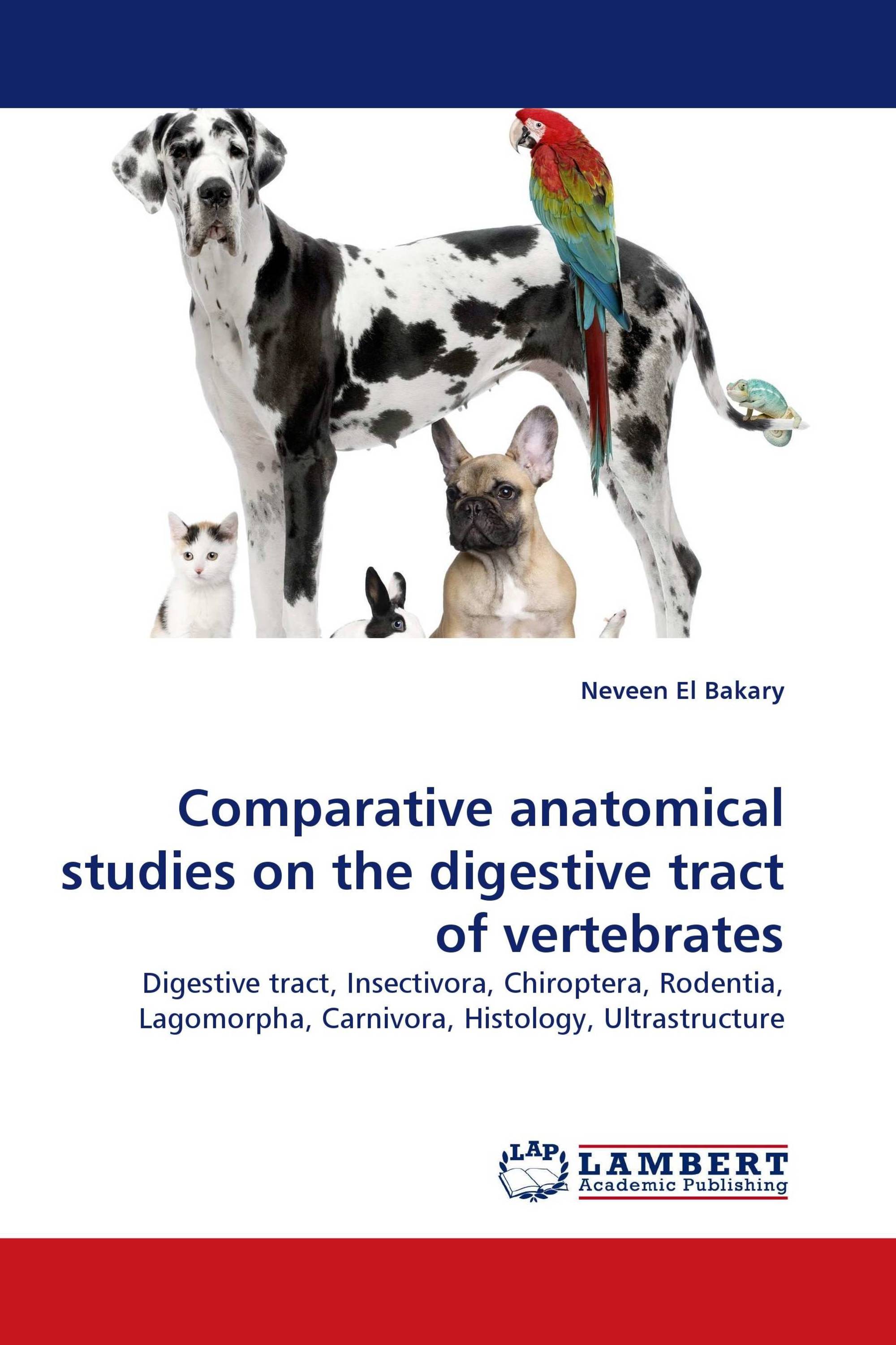 Comparative anatomical studies on the digestive tract of vertebrates