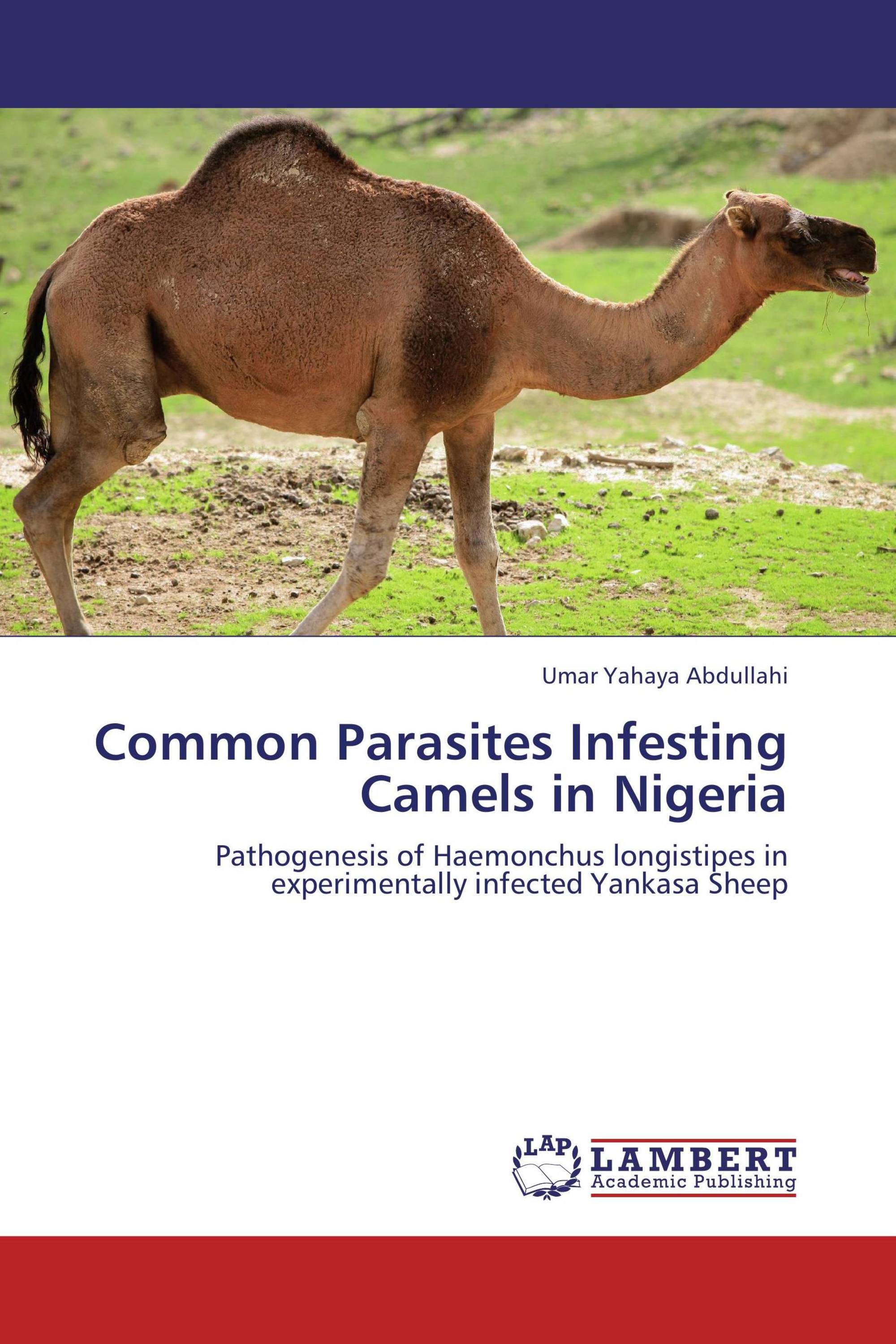 Common Parasites Infesting Camels in Nigeria