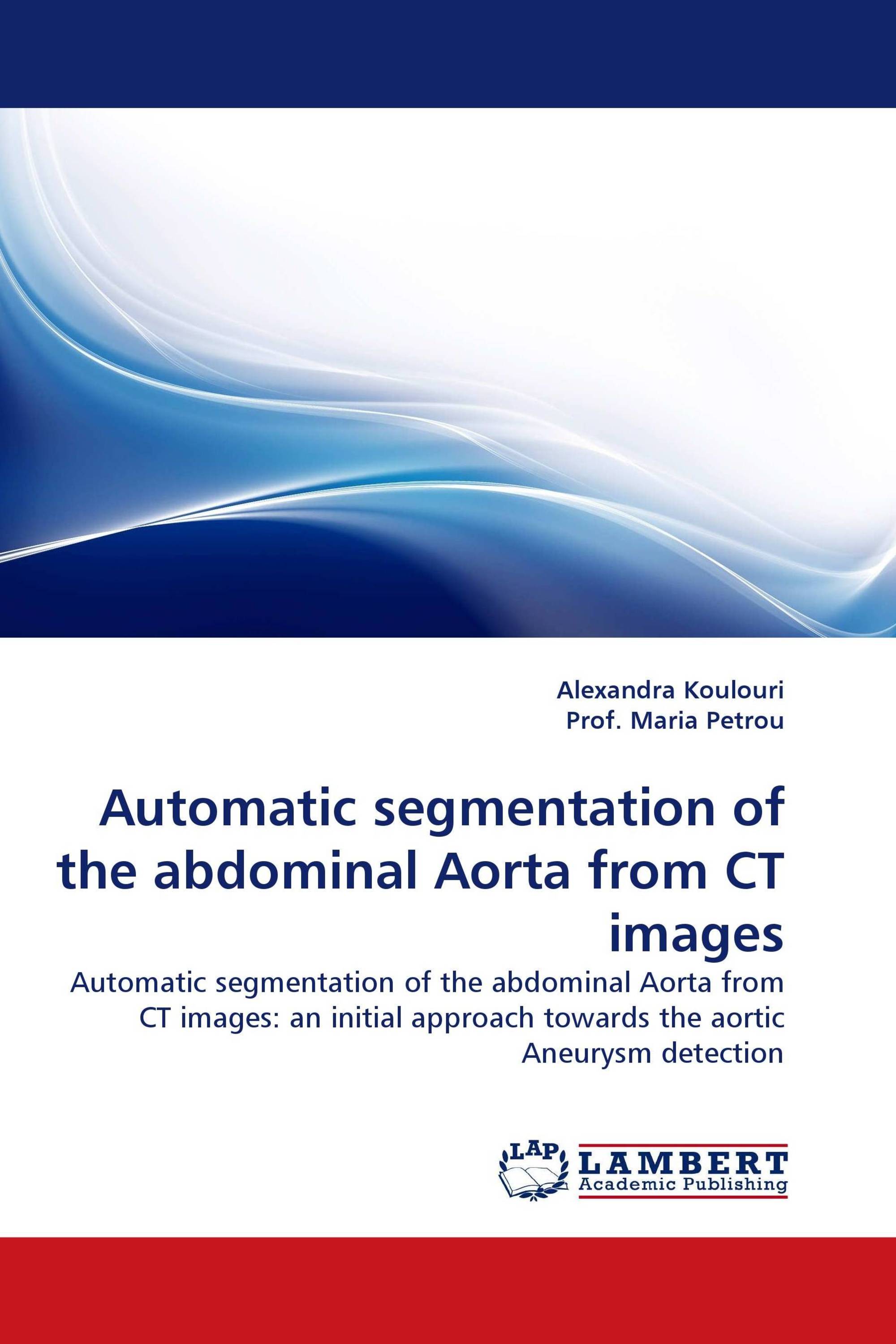 Automatic segmentation of the abdominal Aorta from CT images