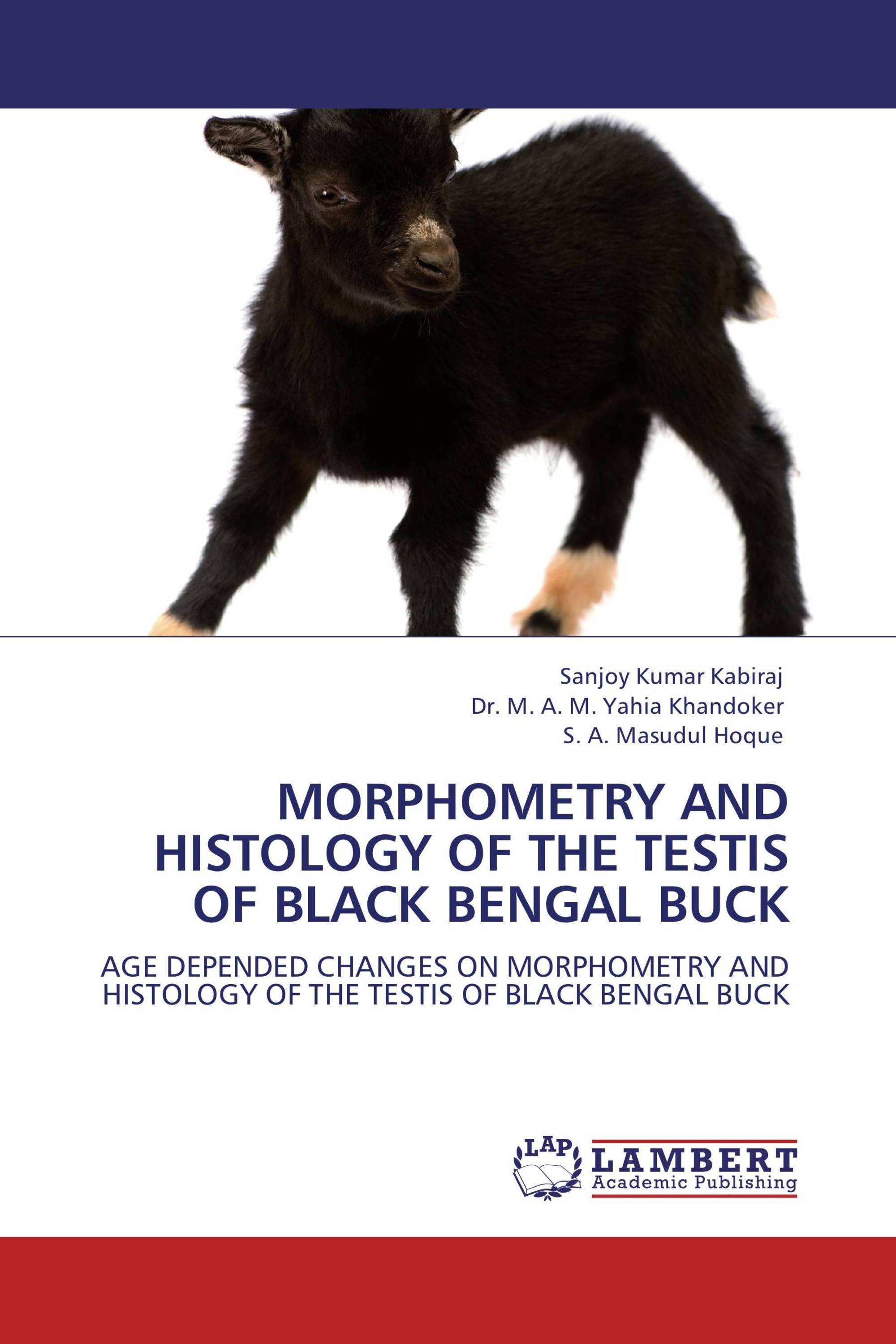 MORPHOMETRY AND HISTOLOGY OF THE TESTIS OF BLACK BENGAL BUCK