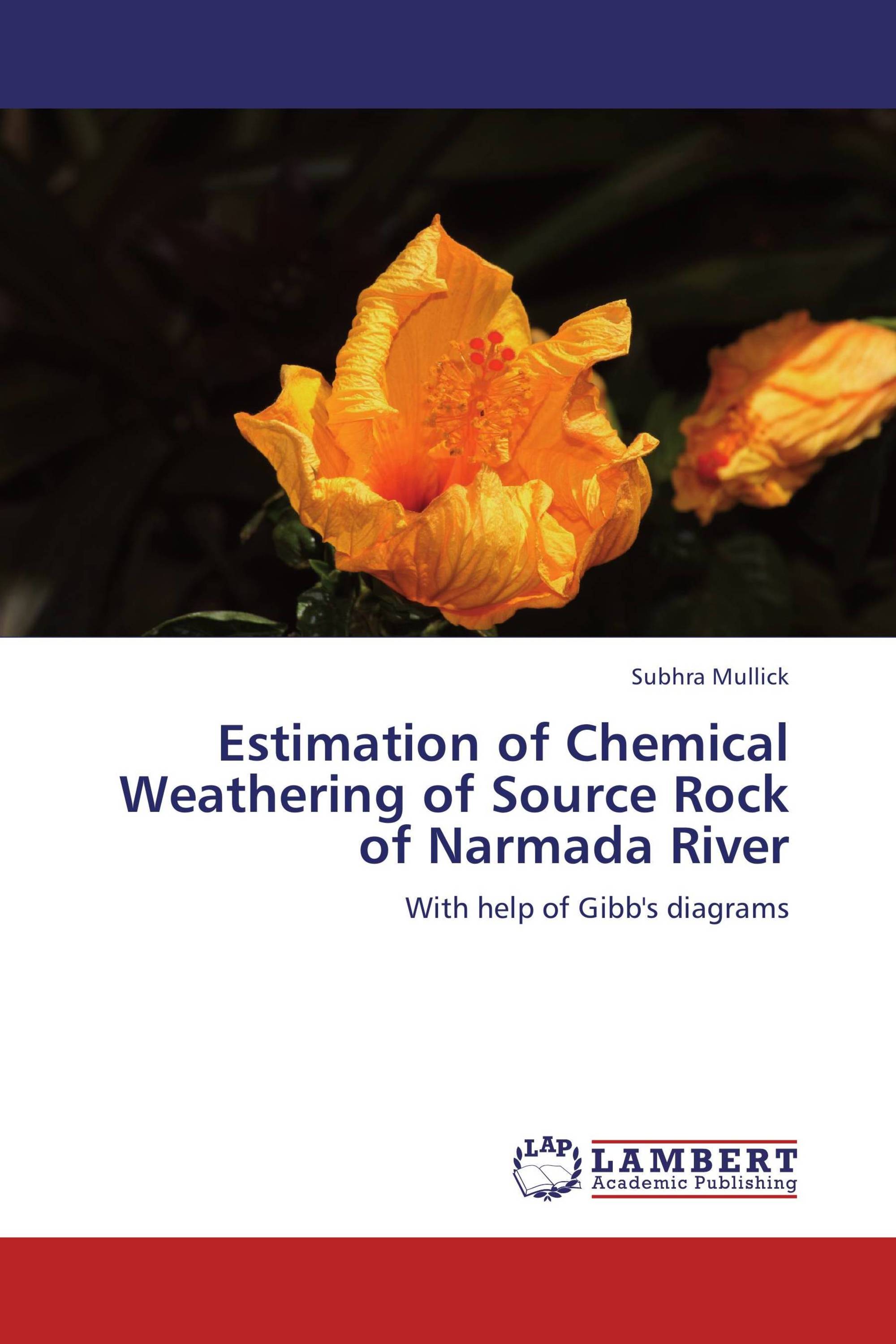 Estimation of Chemical Weathering of Source Rock of Narmada River