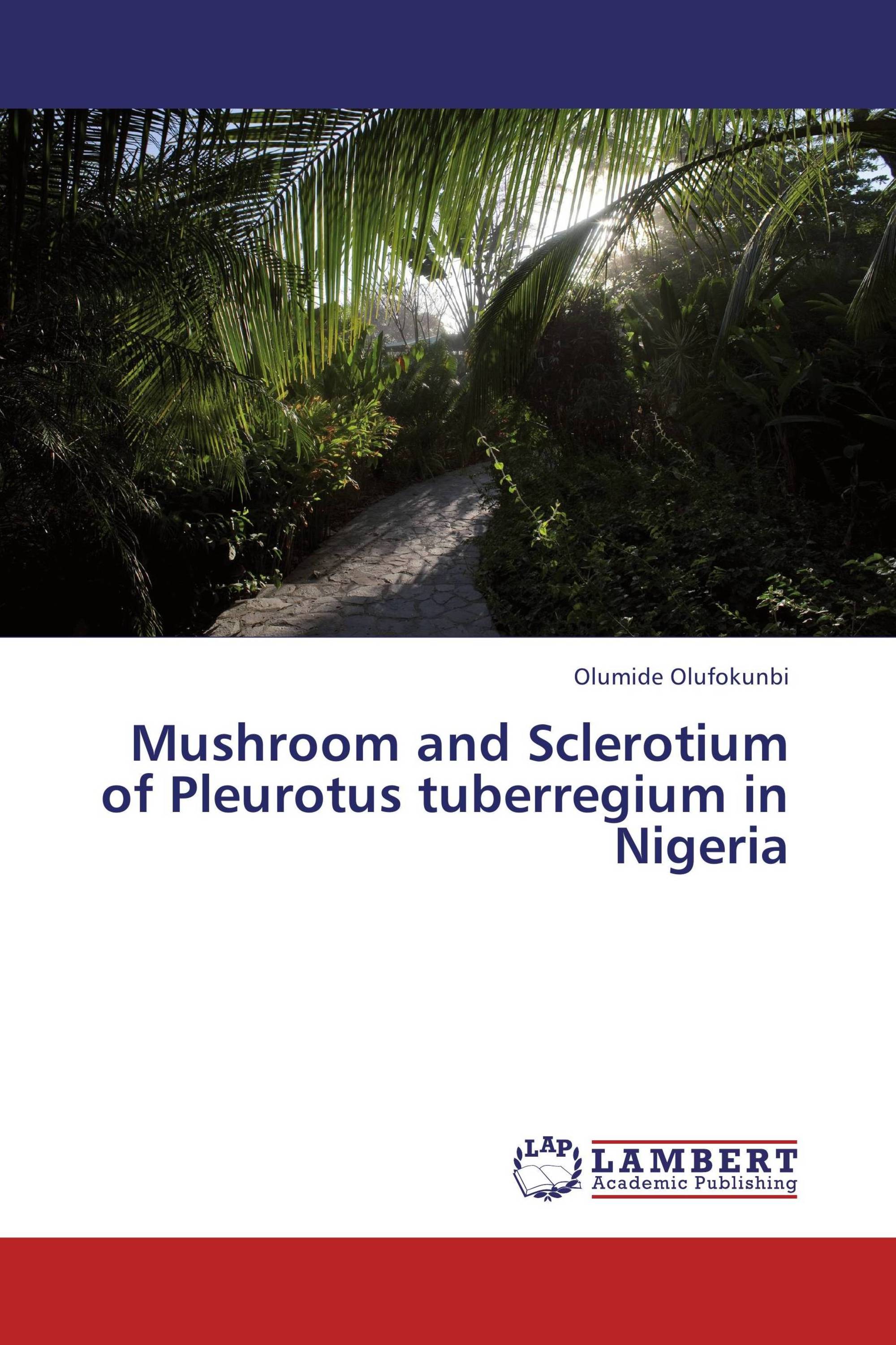 Mushroom and Sclerotium of Pleurotus tuberregium in Nigeria