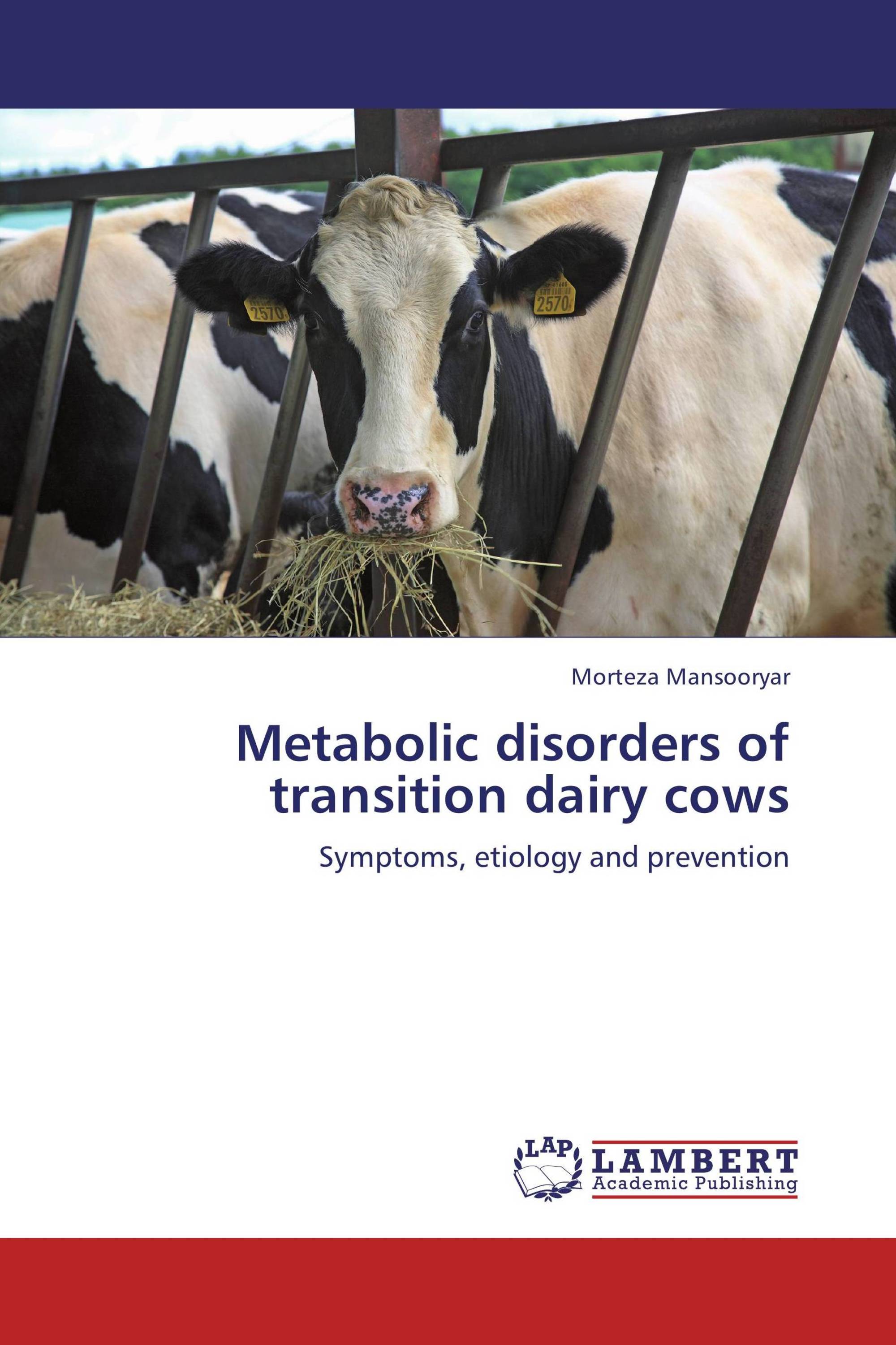 Metabolic disorders of transition dairy cows