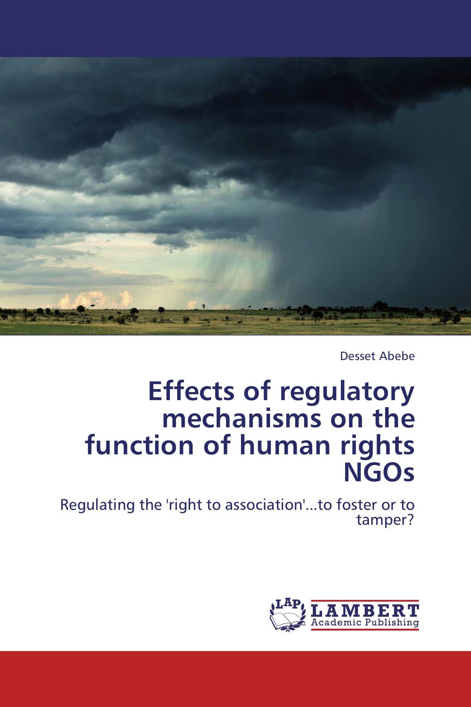 Effects of regulatory mechanisms on the function of human rights NGOs