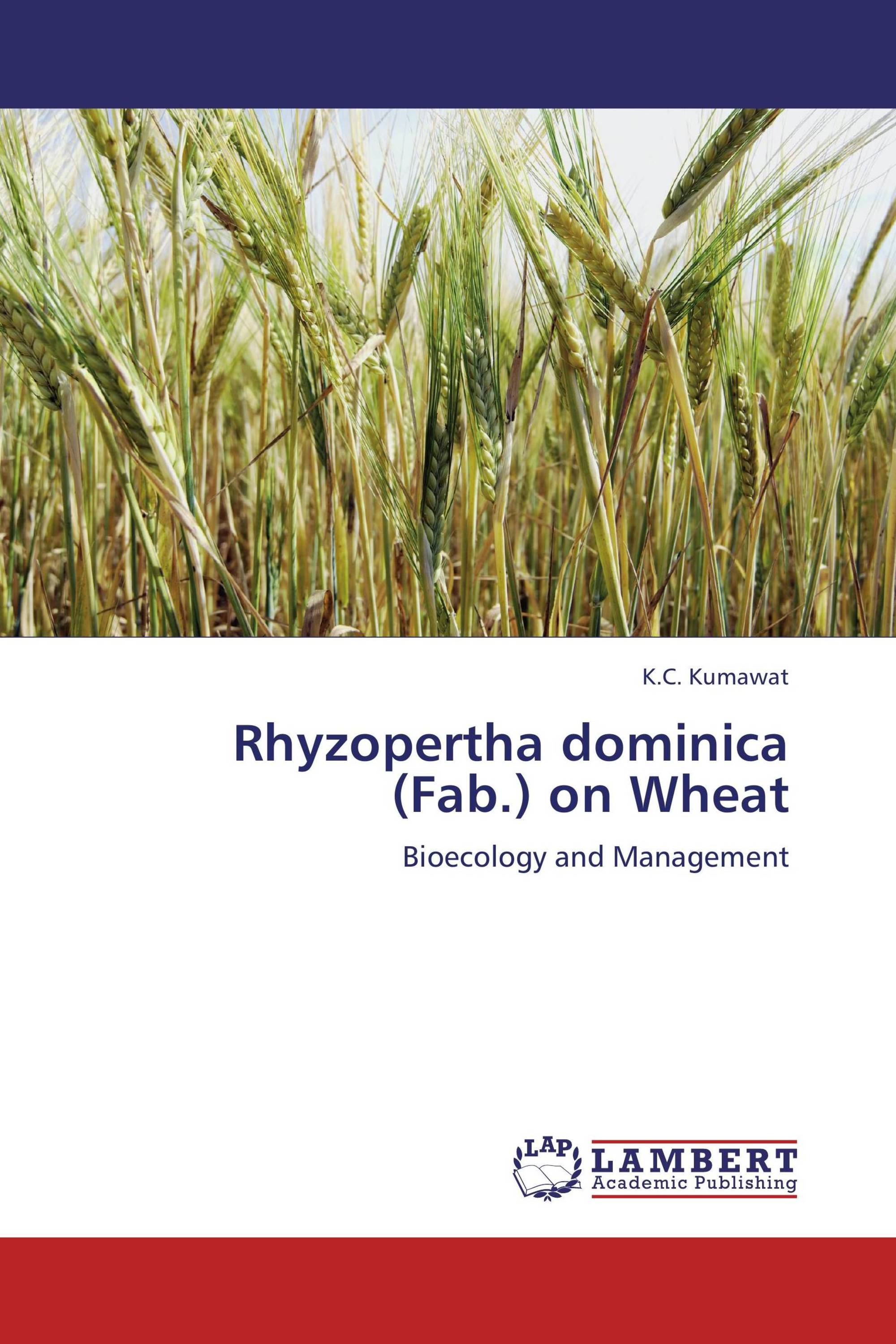 Rhyzopertha dominica (Fab.) on Wheat