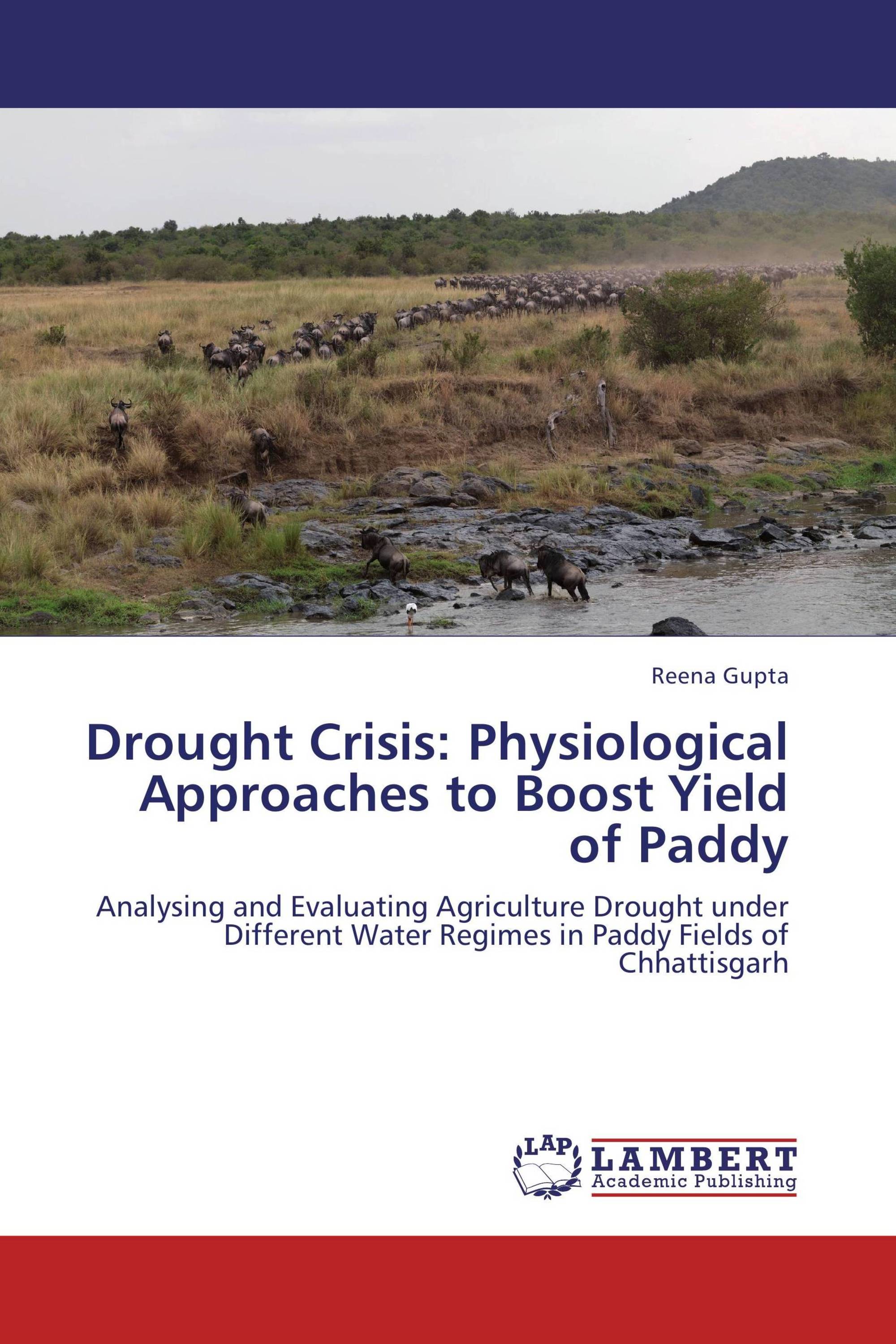 Drought Crisis: Physiological Approaches to Boost Yield of Paddy