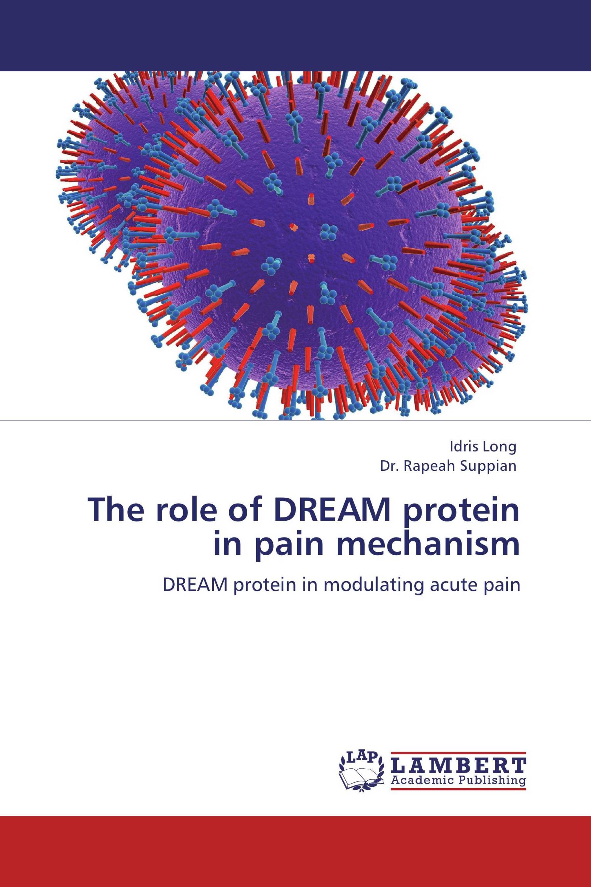 The role of DREAM protein in pain mechanism