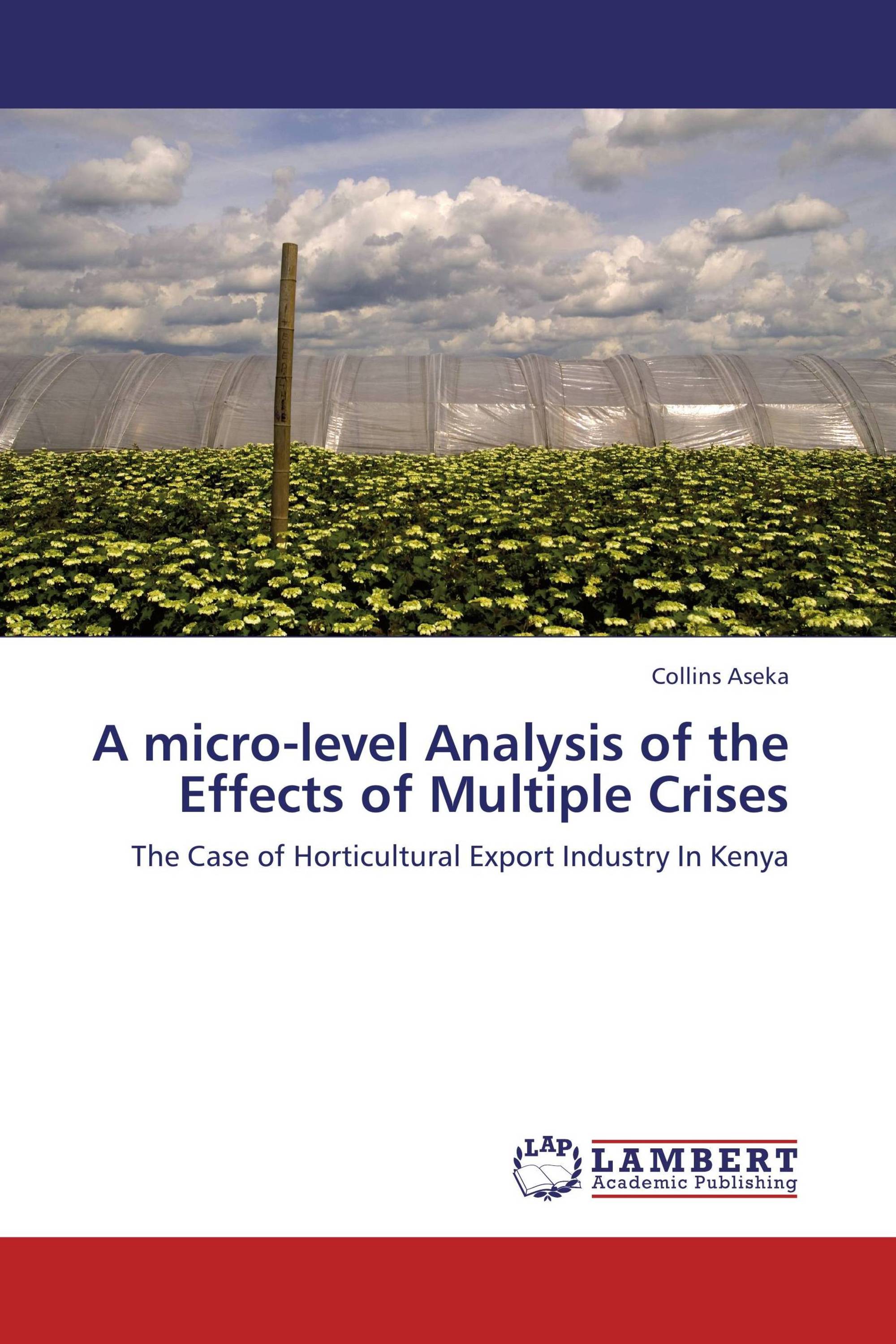 A micro-level Analysis of the Effects of Multiple Crises