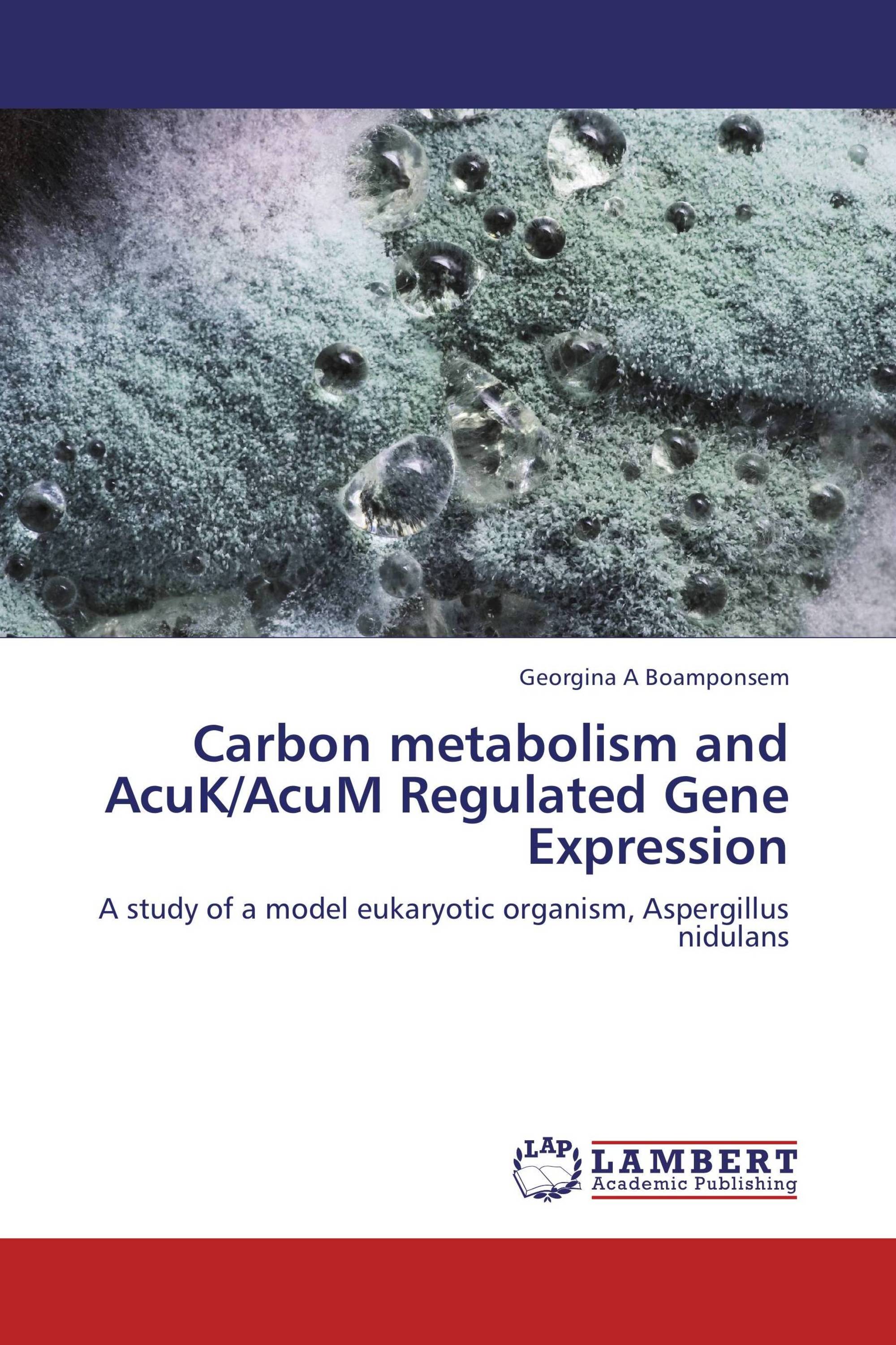 Carbon metabolism and AcuK/AcuM Regulated Gene Expression