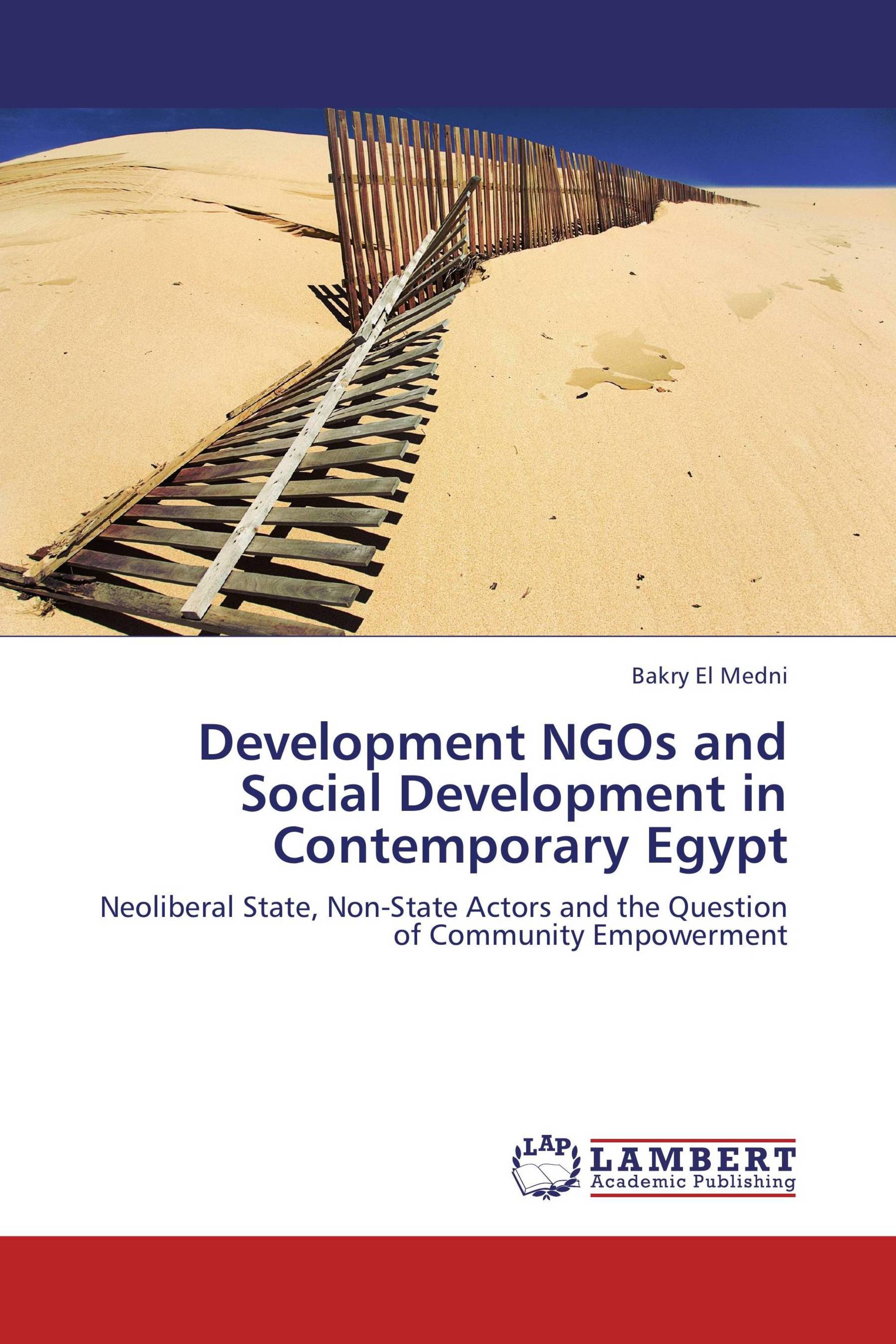 Development NGOs and Social Development in Contemporary Egypt