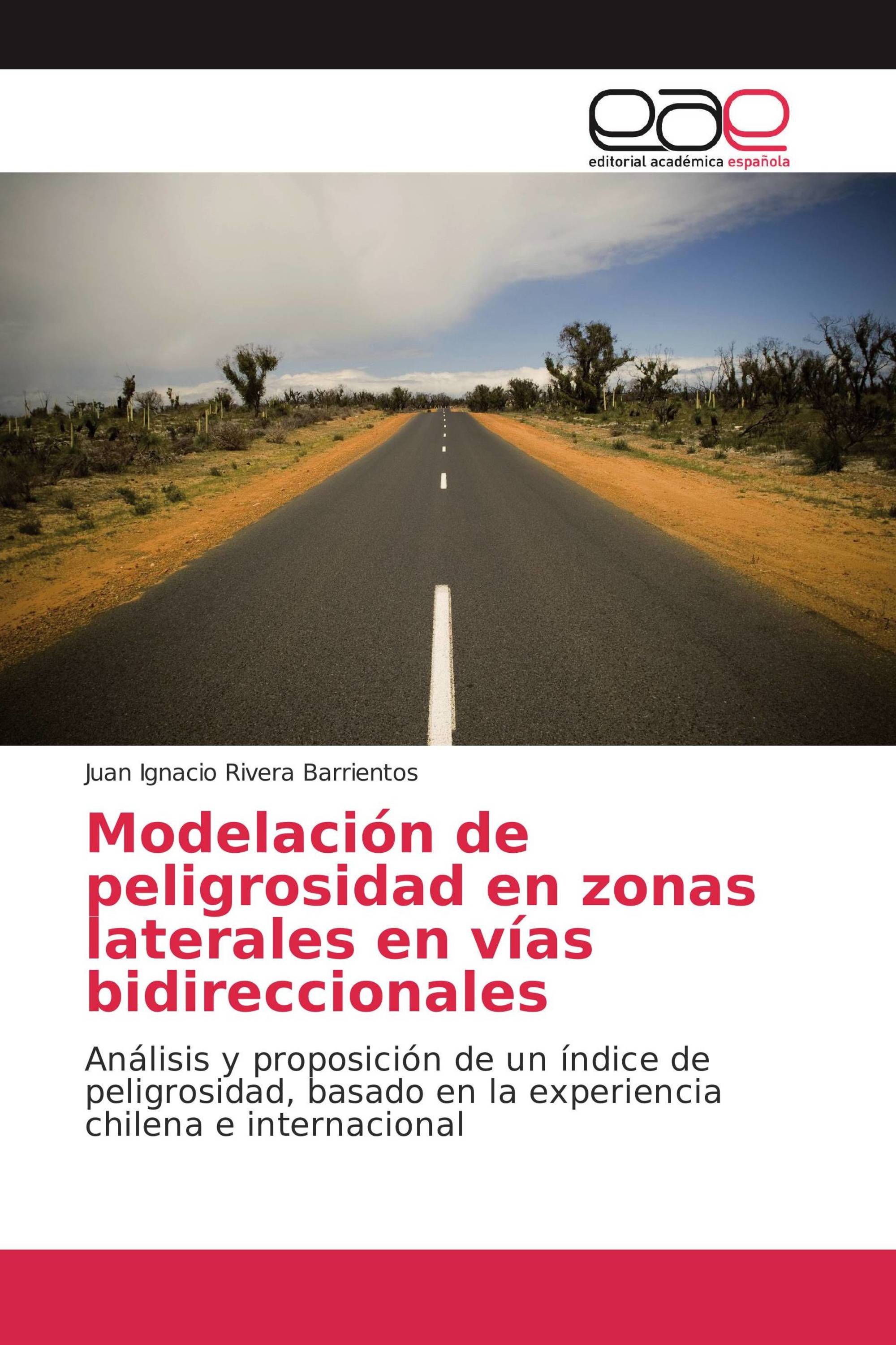 Modelación de peligrosidad en zonas laterales en vías bidireccionales