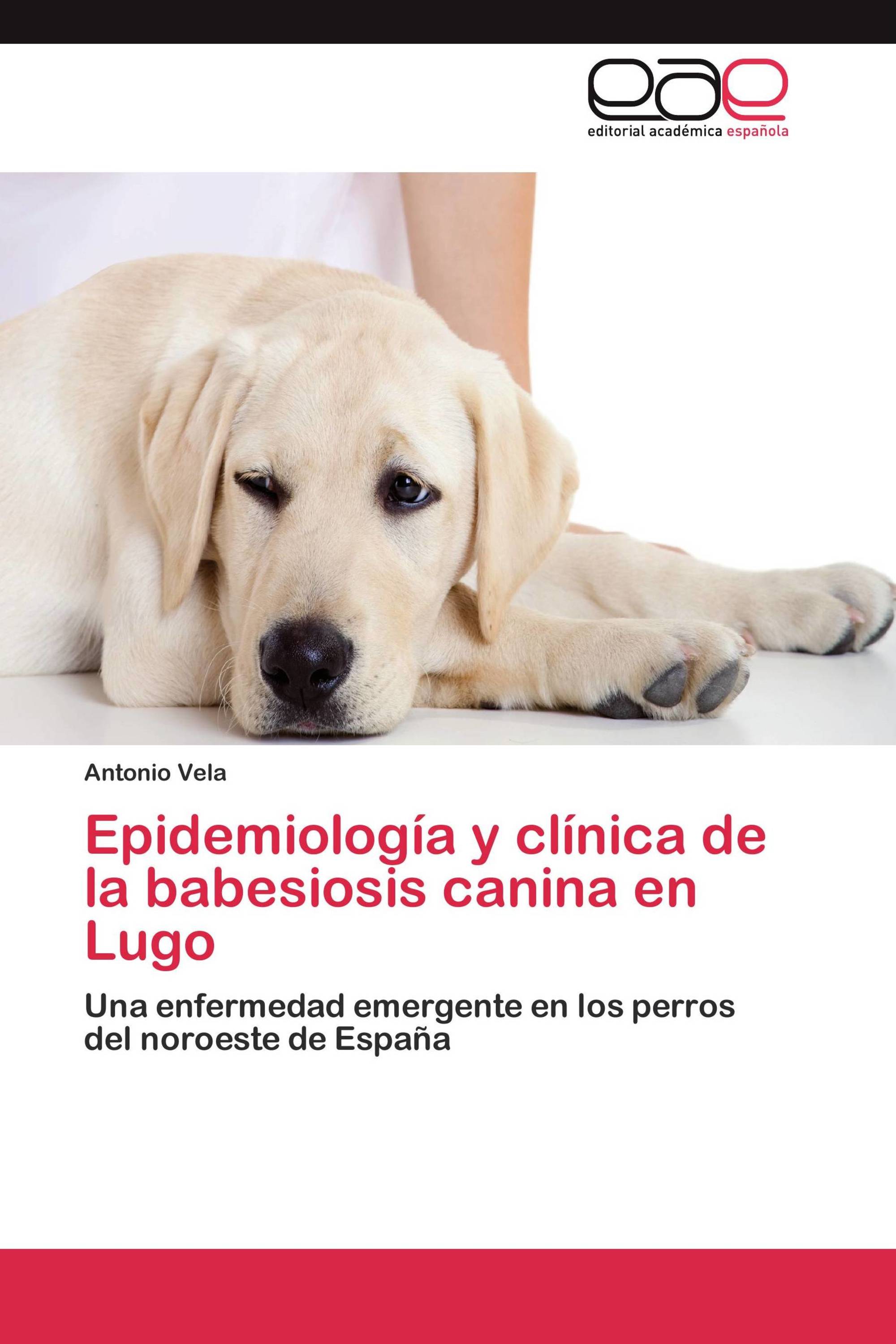 Epidemiología y clínica de la babesiosis canina en Lugo