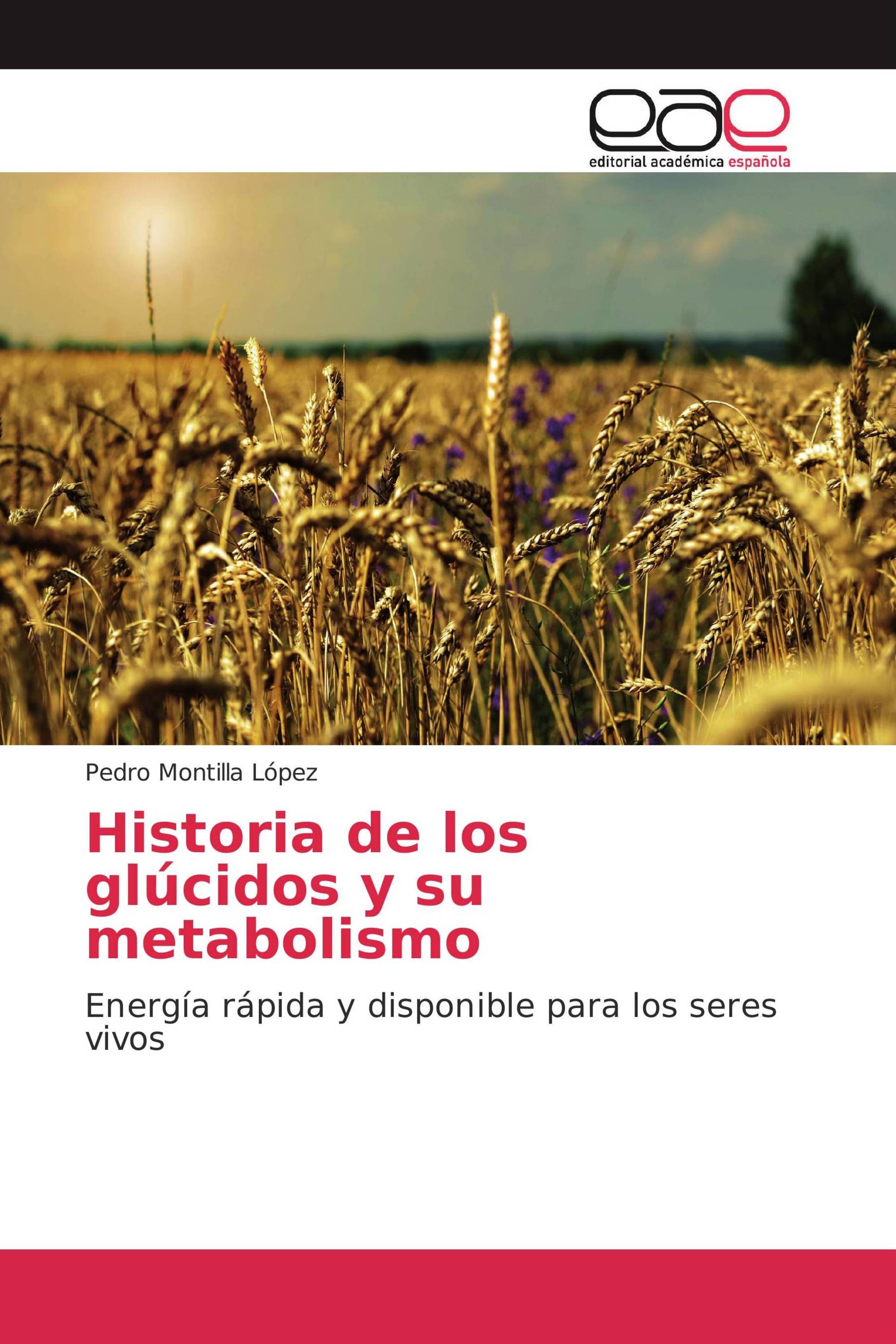 Historia de los glúcidos y su metabolismo