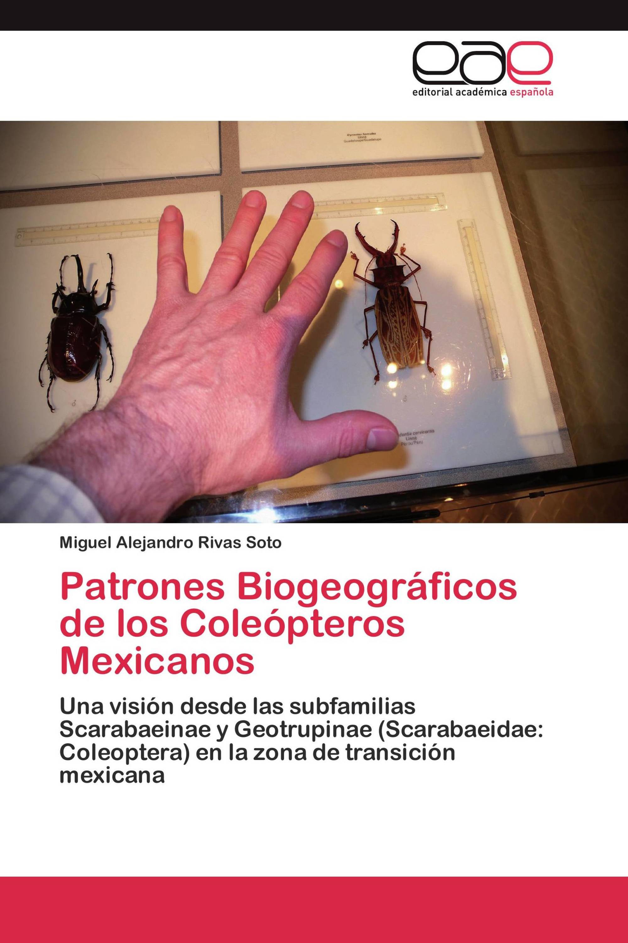 Patrones Biogeográficos de los Coleópteros Mexicanos